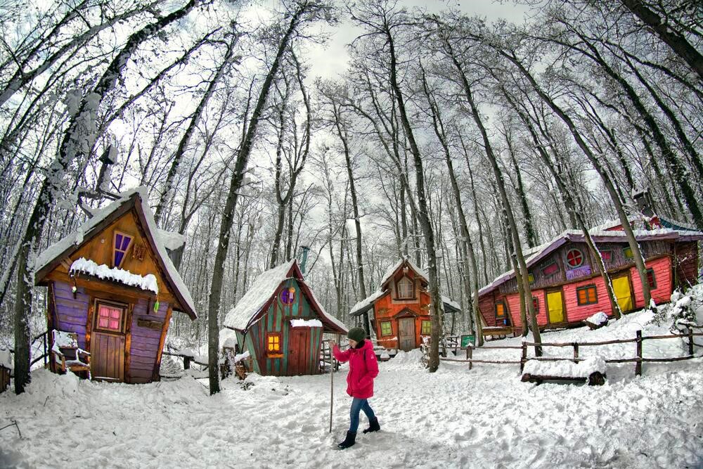 Kar Yağdı, Ormanya’nın Çehresi Tamamen Değişti (2)