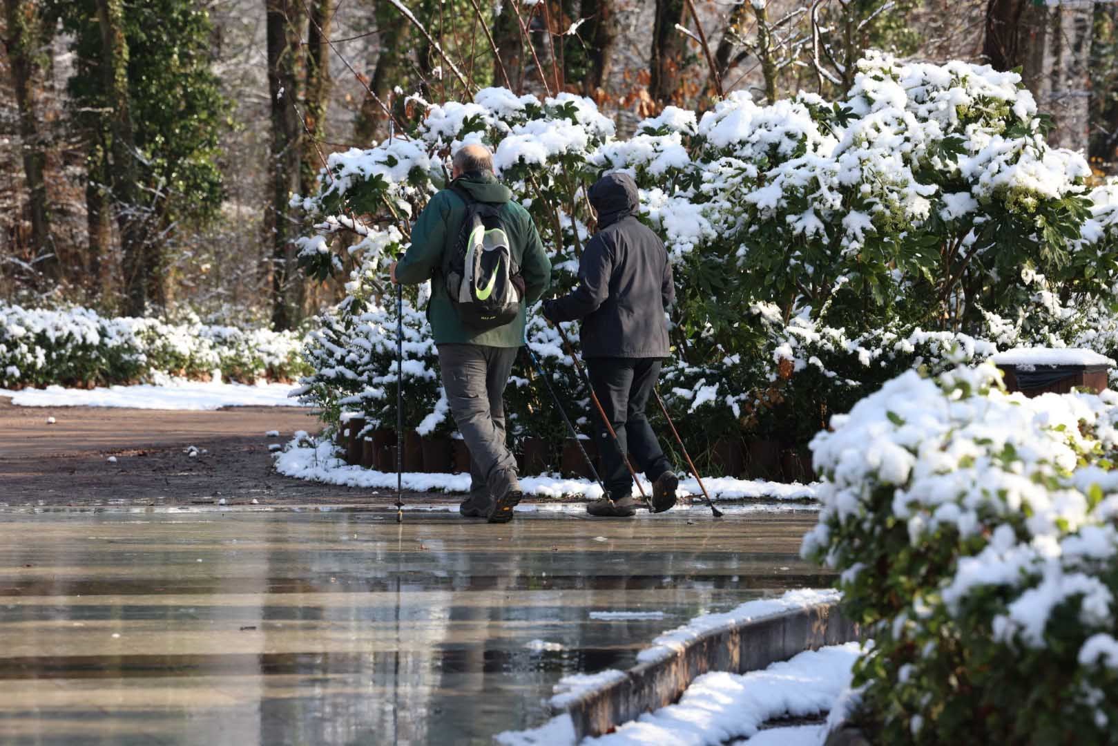 Kar Yağdı, Ormanya’nın Çehresi Tamamen Değişti (6)