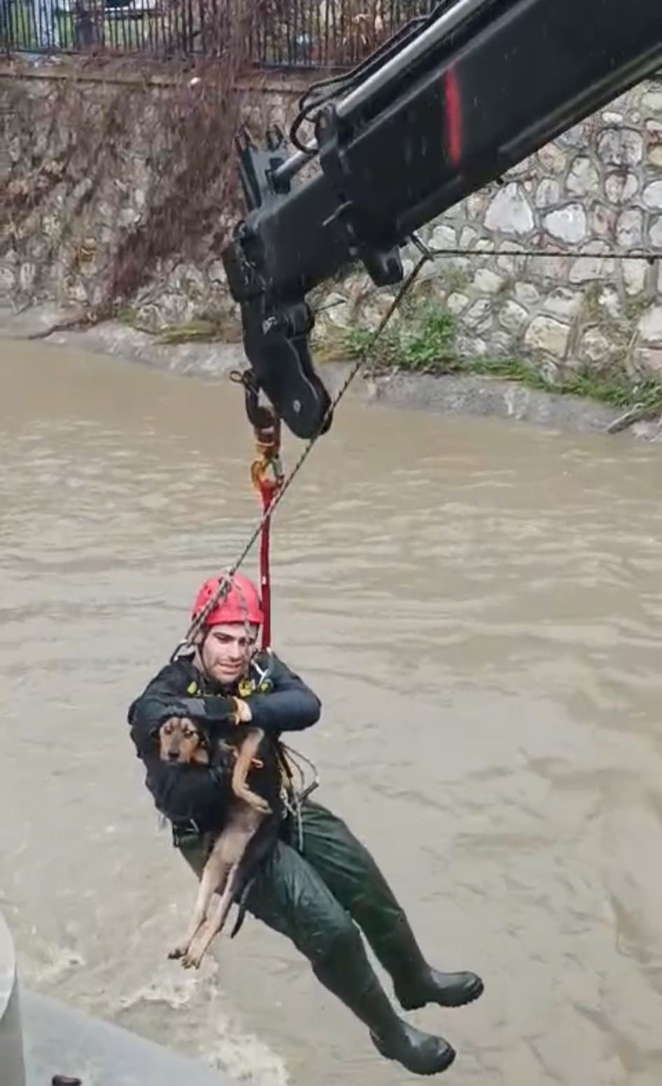 Karabağlar’da Yürekleri Ağza Getiren Olay Köpek Dereye Düştü! (1)