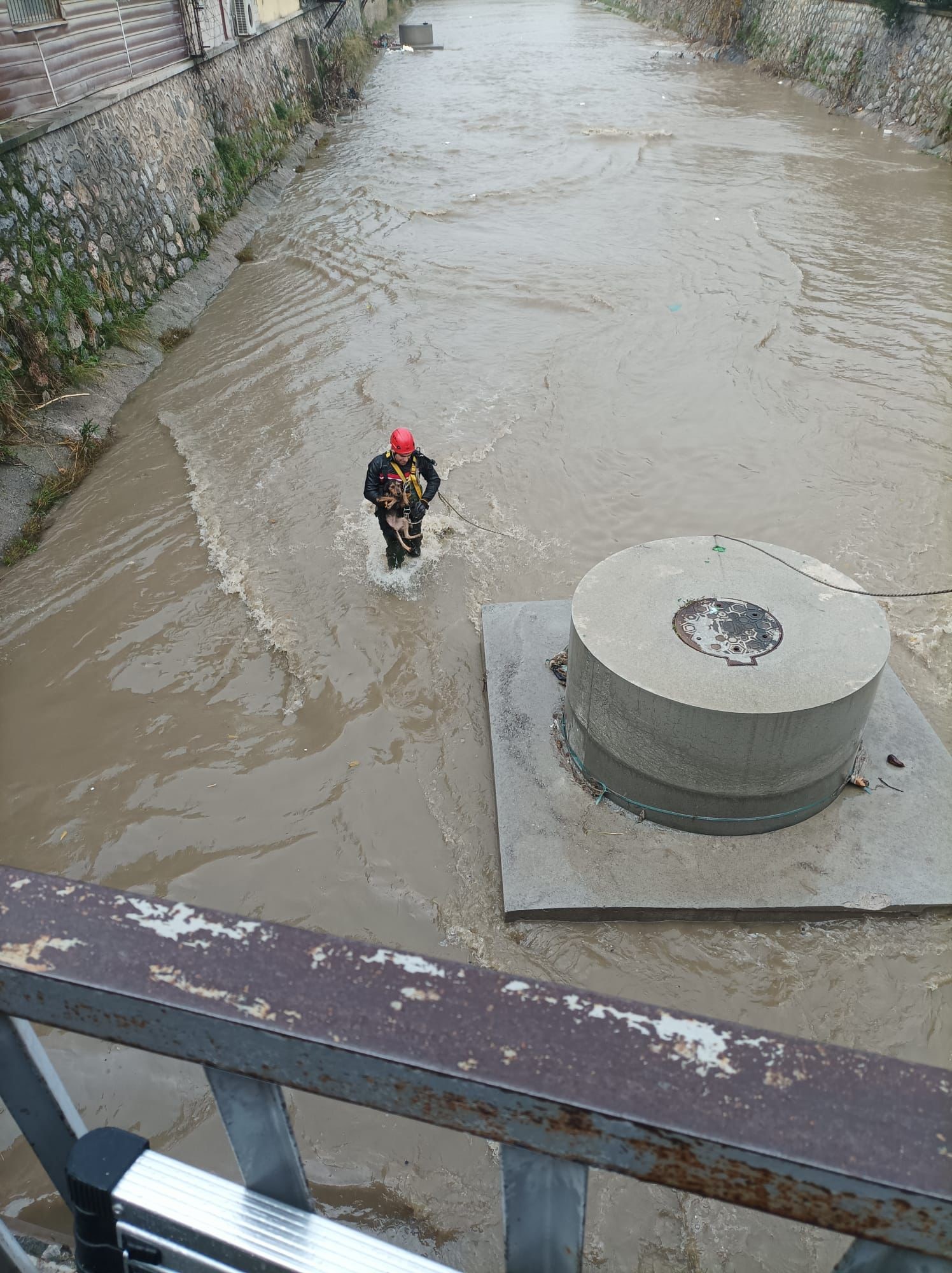 Karabağlar’da Yürekleri Ağza Getiren Olay Köpek Dereye Düştü! (3)