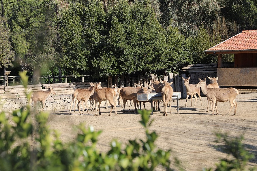 Menderes’te Tatil Eğlenceye Dönüştü (5)
