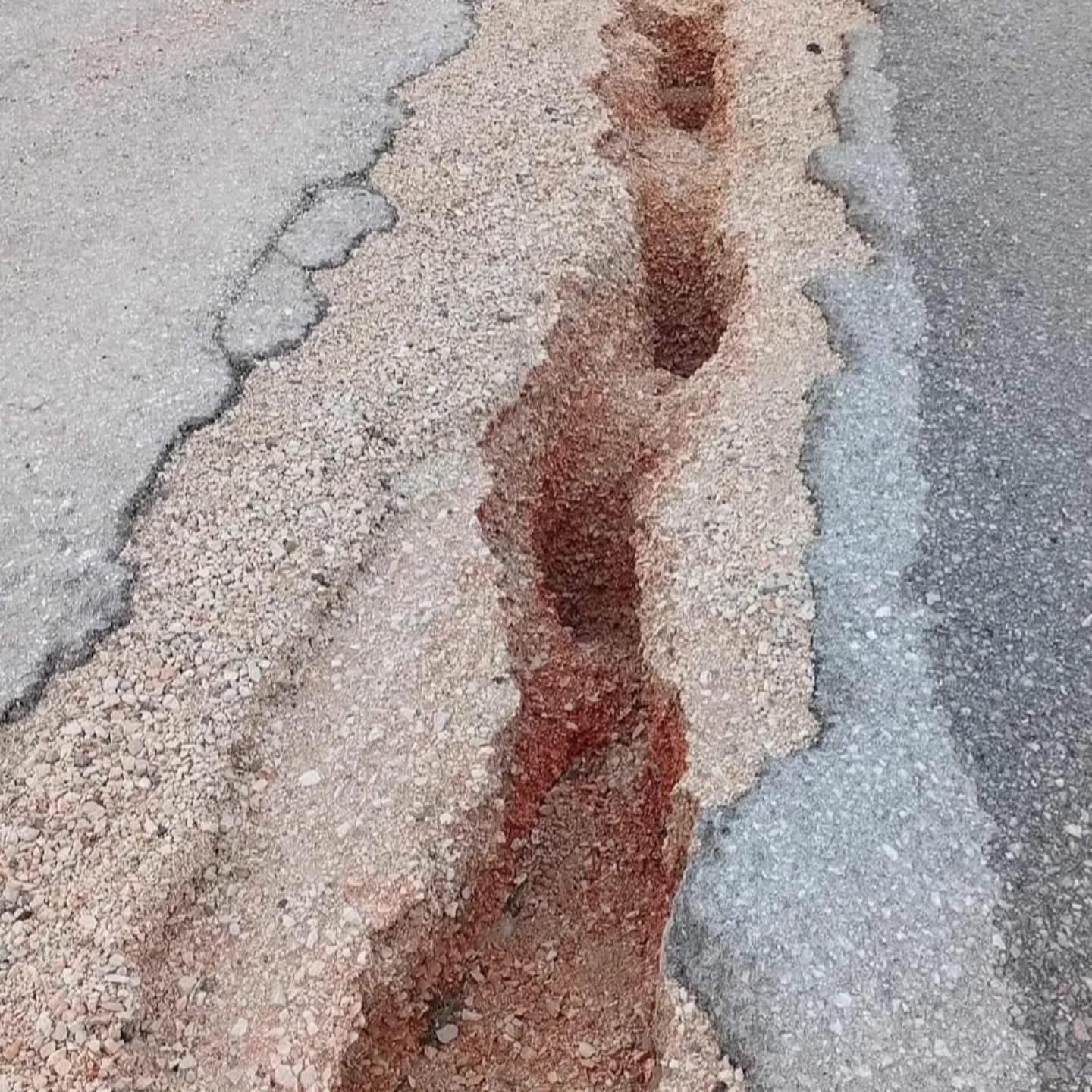 Mhp Çeşme İlçe Başkanı Galip Uluçam 'Çeşme’de Yollar Köstebek Yuvalarını Aratmıyor!' (3)