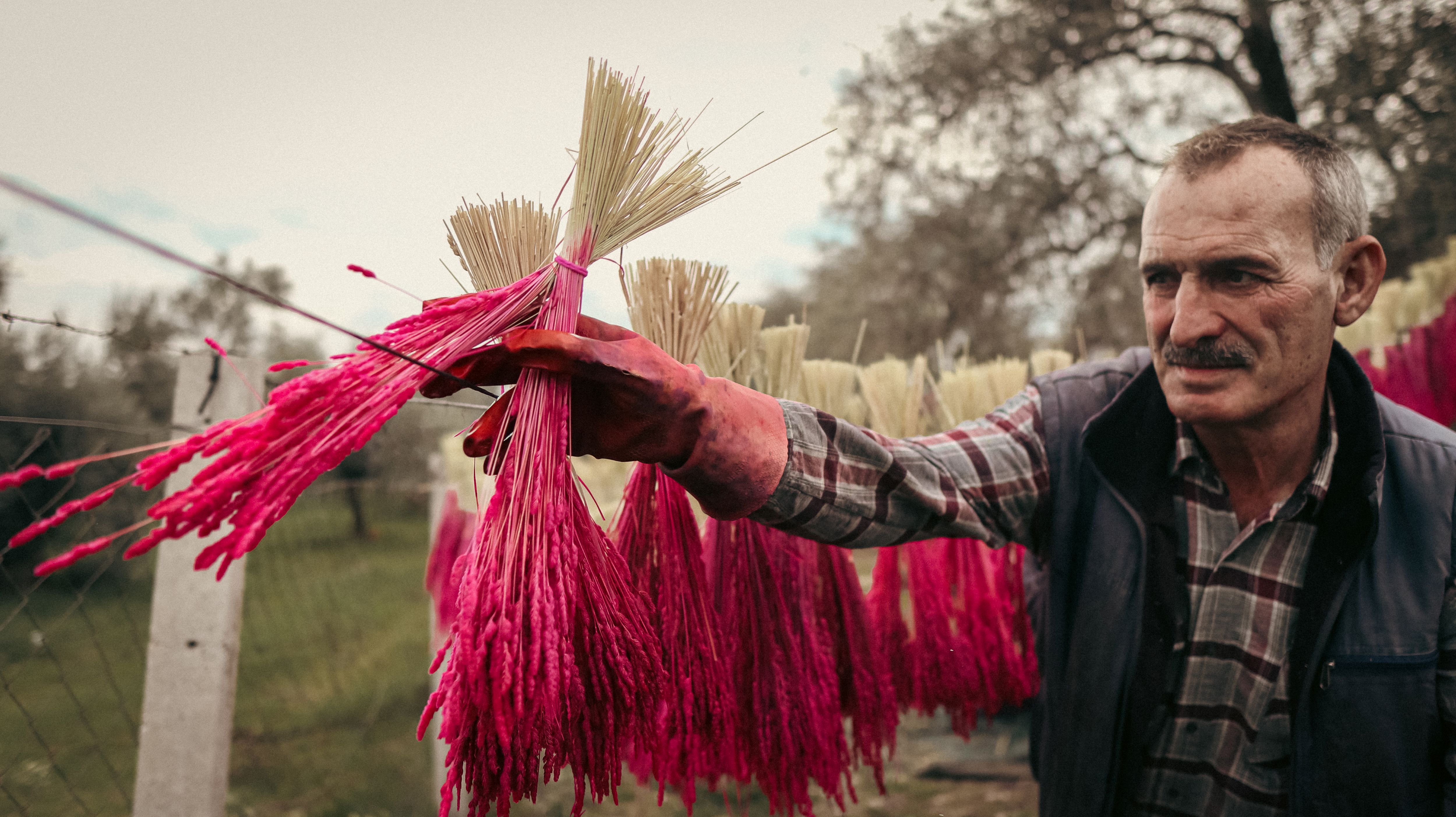 Nergis Kokulu Festival Için Geri Sayım Başladı (4)