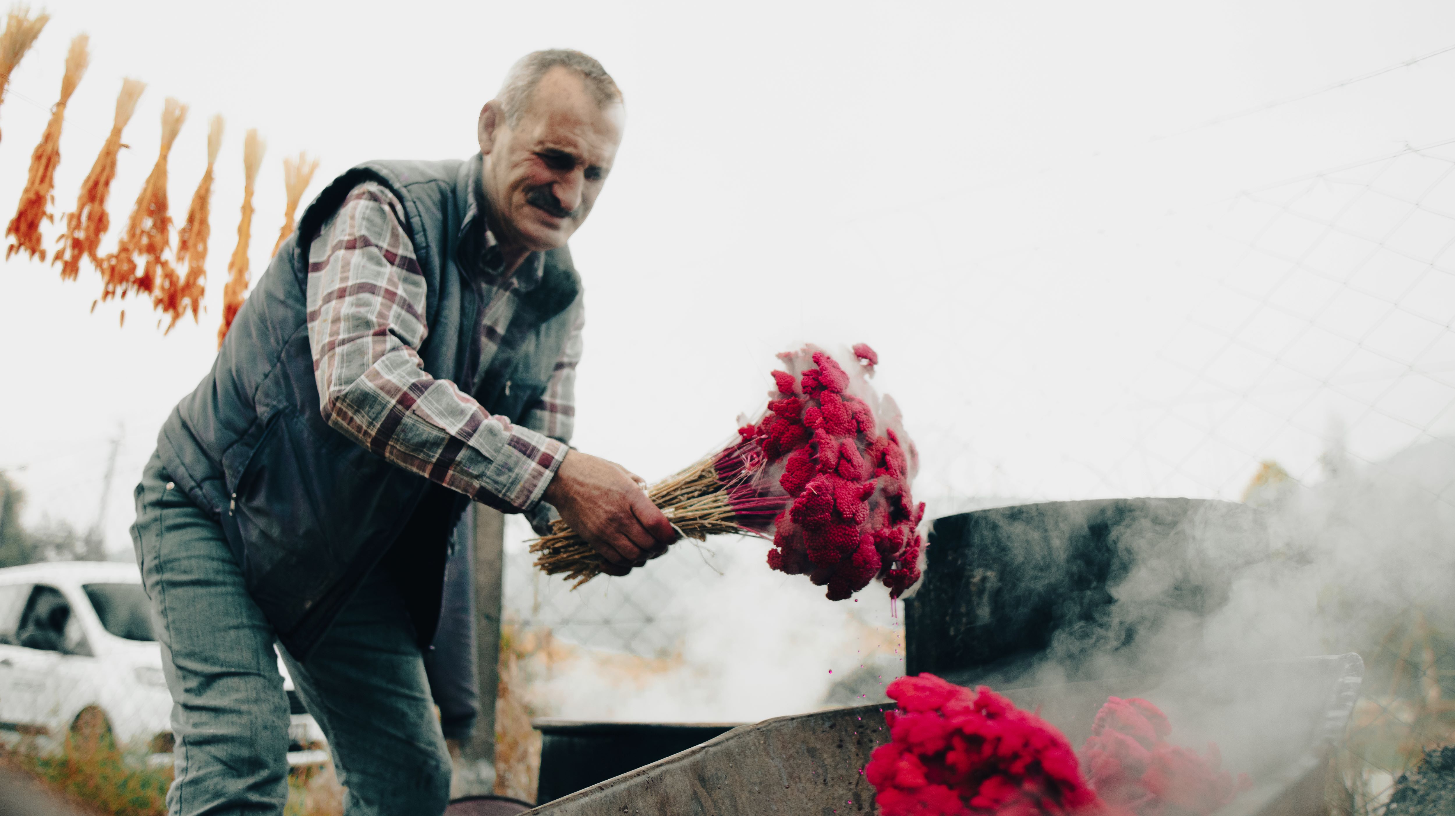 Nergis Kokulu Festival Için Geri Sayım Başladı (6)
