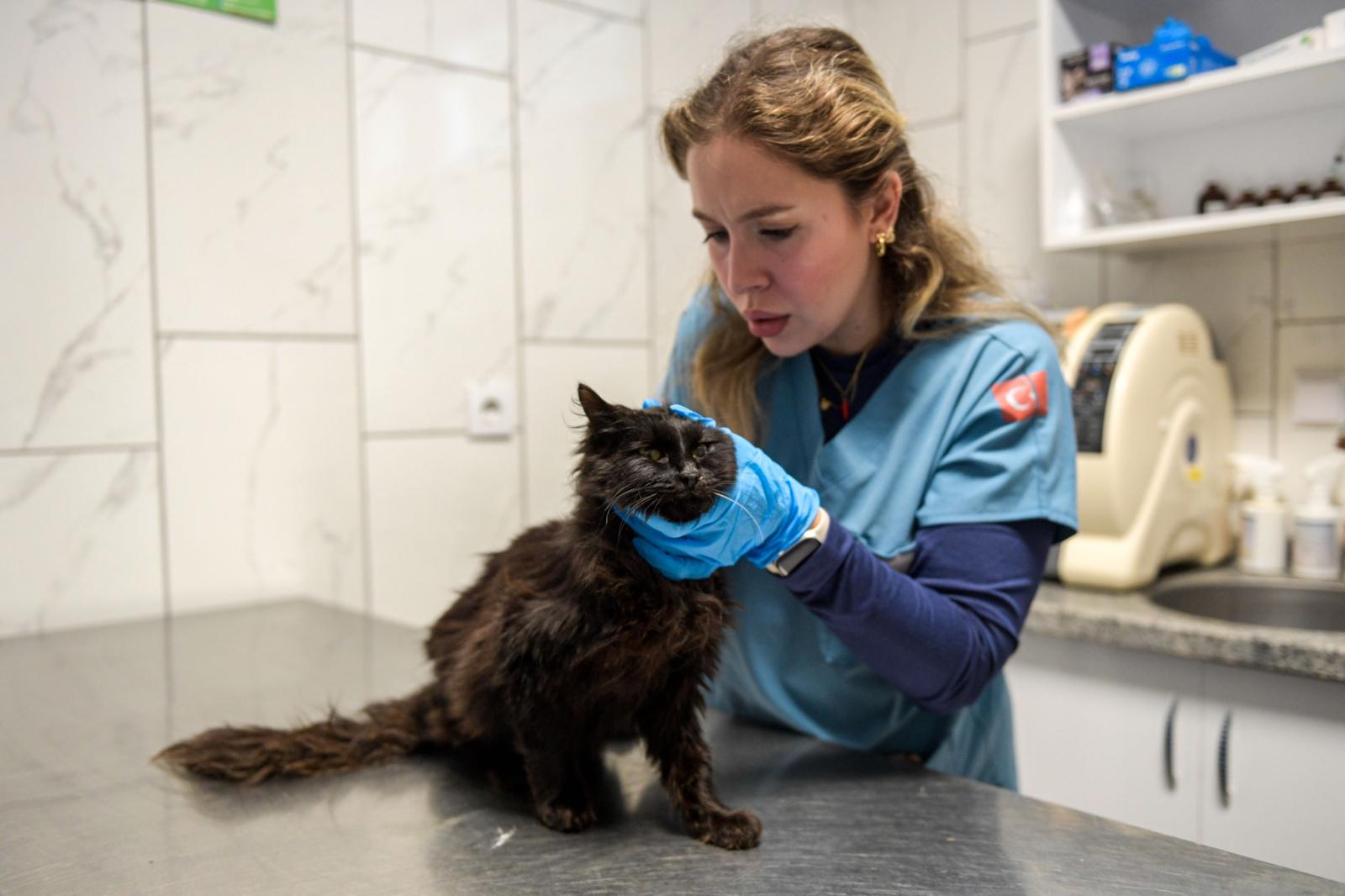 Tek Sağlık Modeliyle İzmir’de Hayvan Refahında Büyük Artış (10)