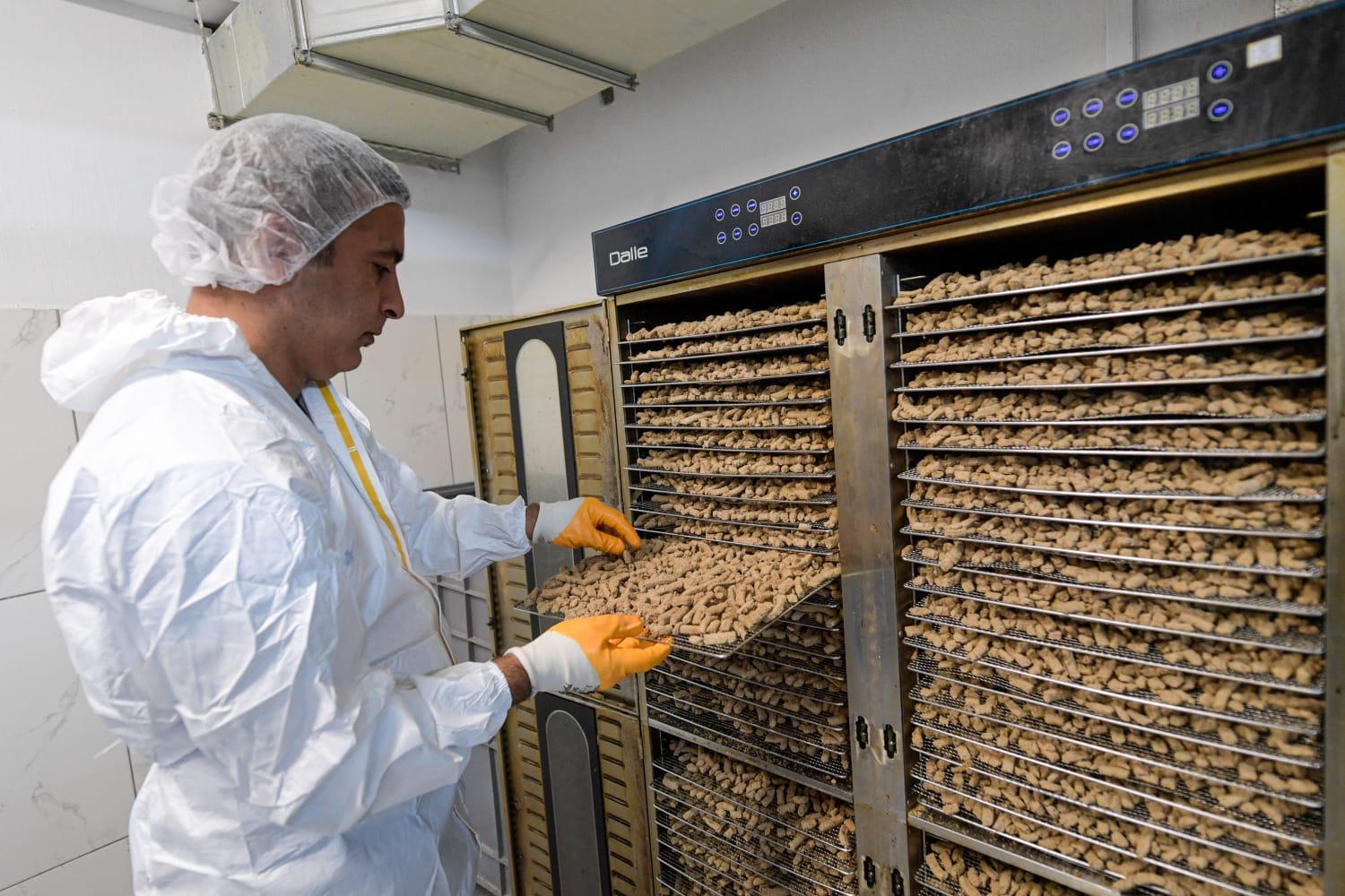 Tek Sağlık Modeliyle İzmir’de Hayvan Refahında Büyük Artış (11)