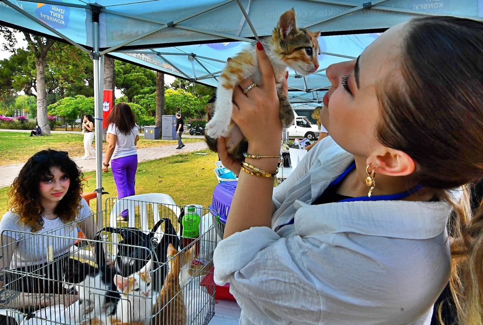Tek Sağlık Modeliyle İzmir’de Hayvan Refahında Büyük Artış (4)