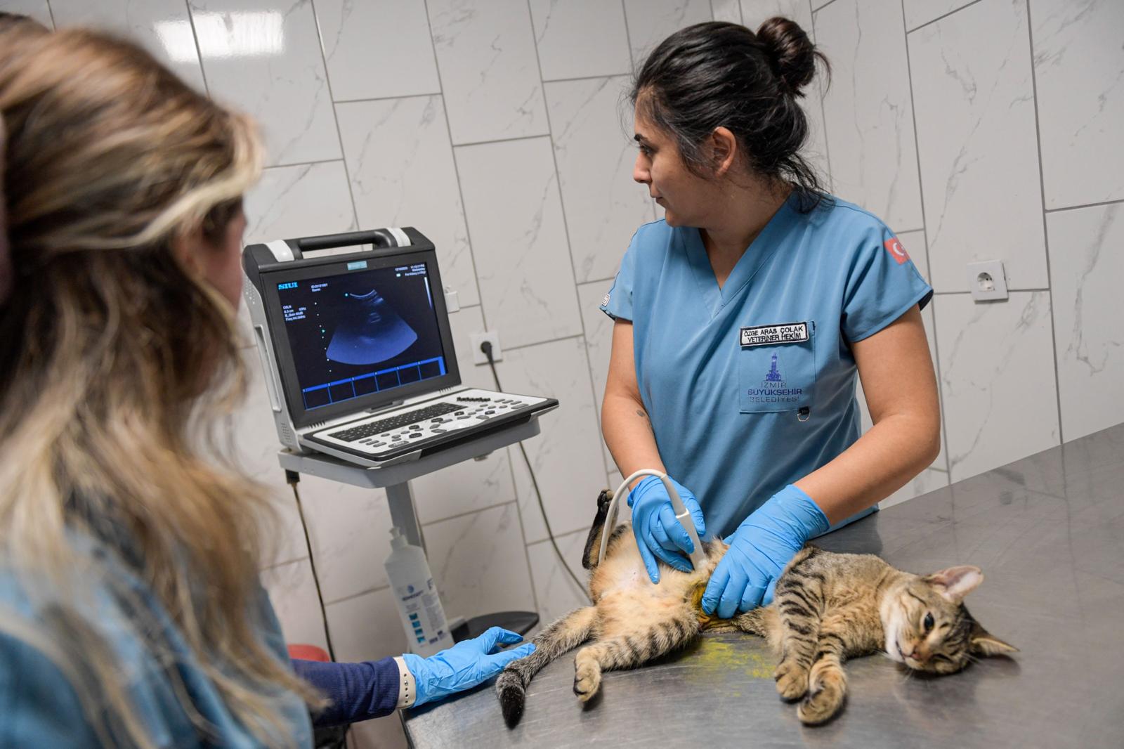 Tek Sağlık Modeliyle İzmir’de Hayvan Refahında Büyük Artış (6)