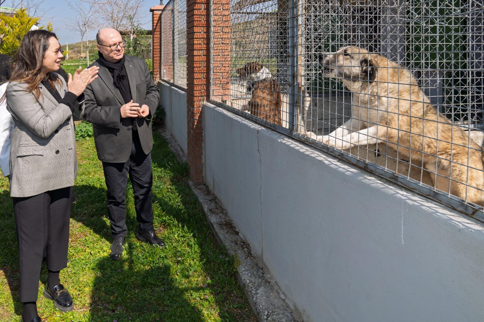 Tek Sağlık Modeliyle İzmir’de Hayvan Refahında Büyük Artış (8)