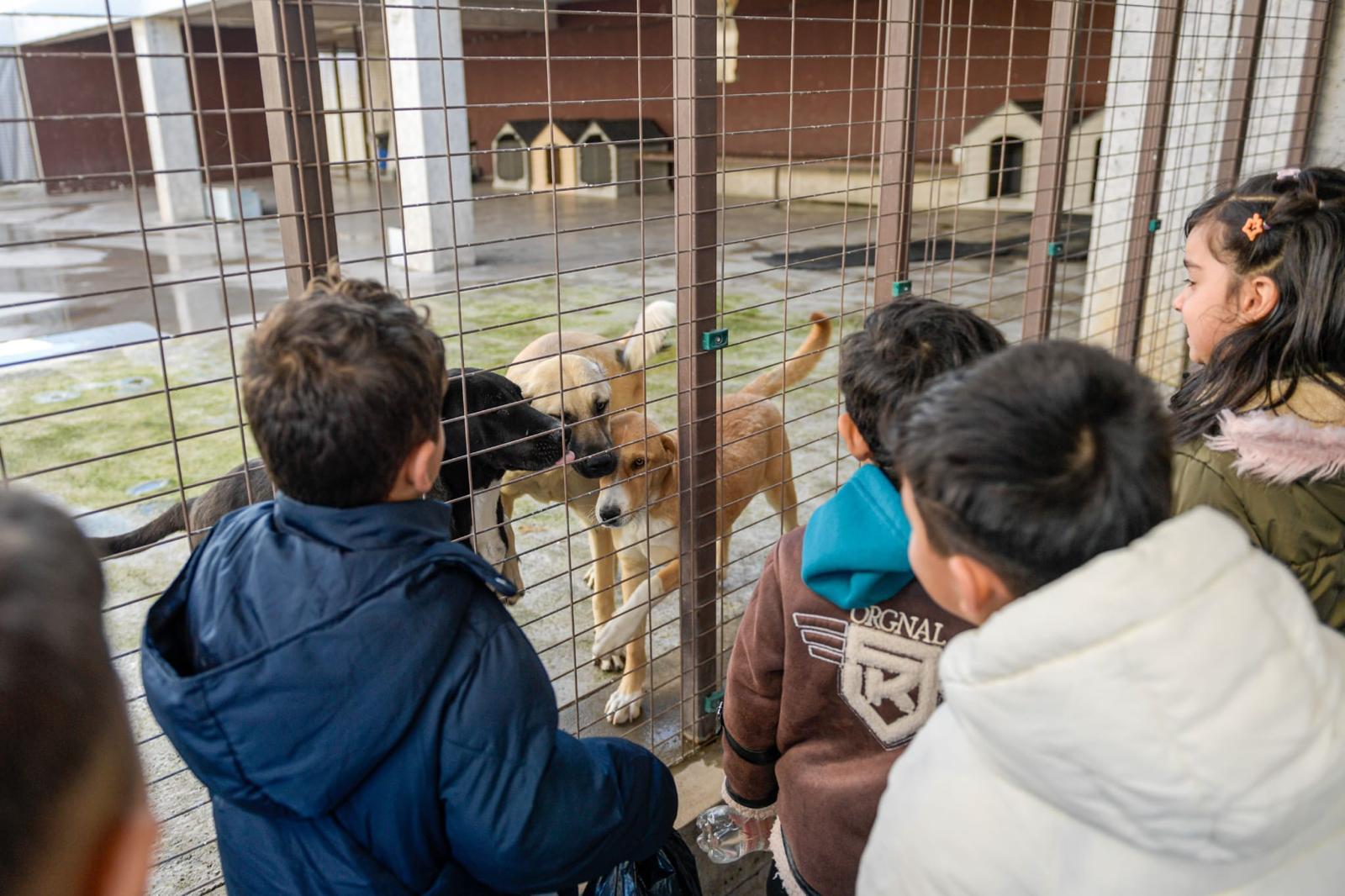 Tek Sağlık Modeliyle İzmir’de Hayvan Refahında Büyük Artış2