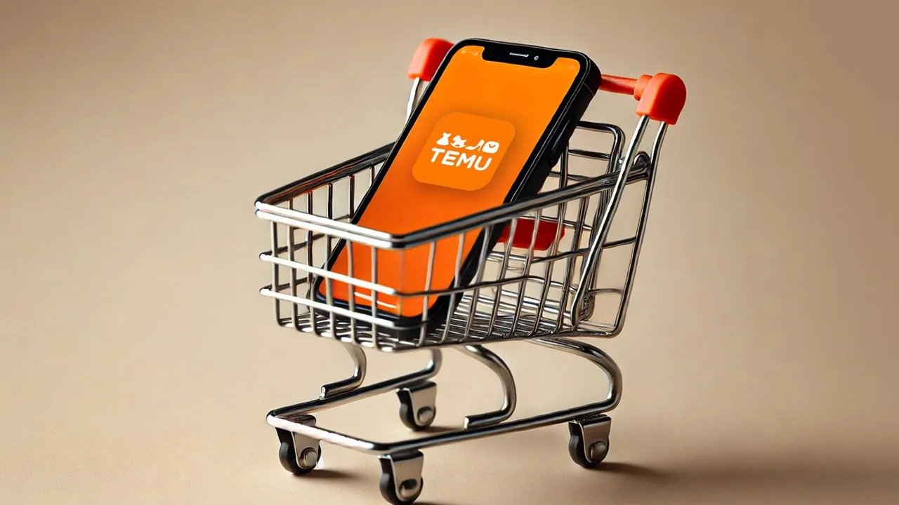 Temudan Turkiye Hamlesi Turk Kul