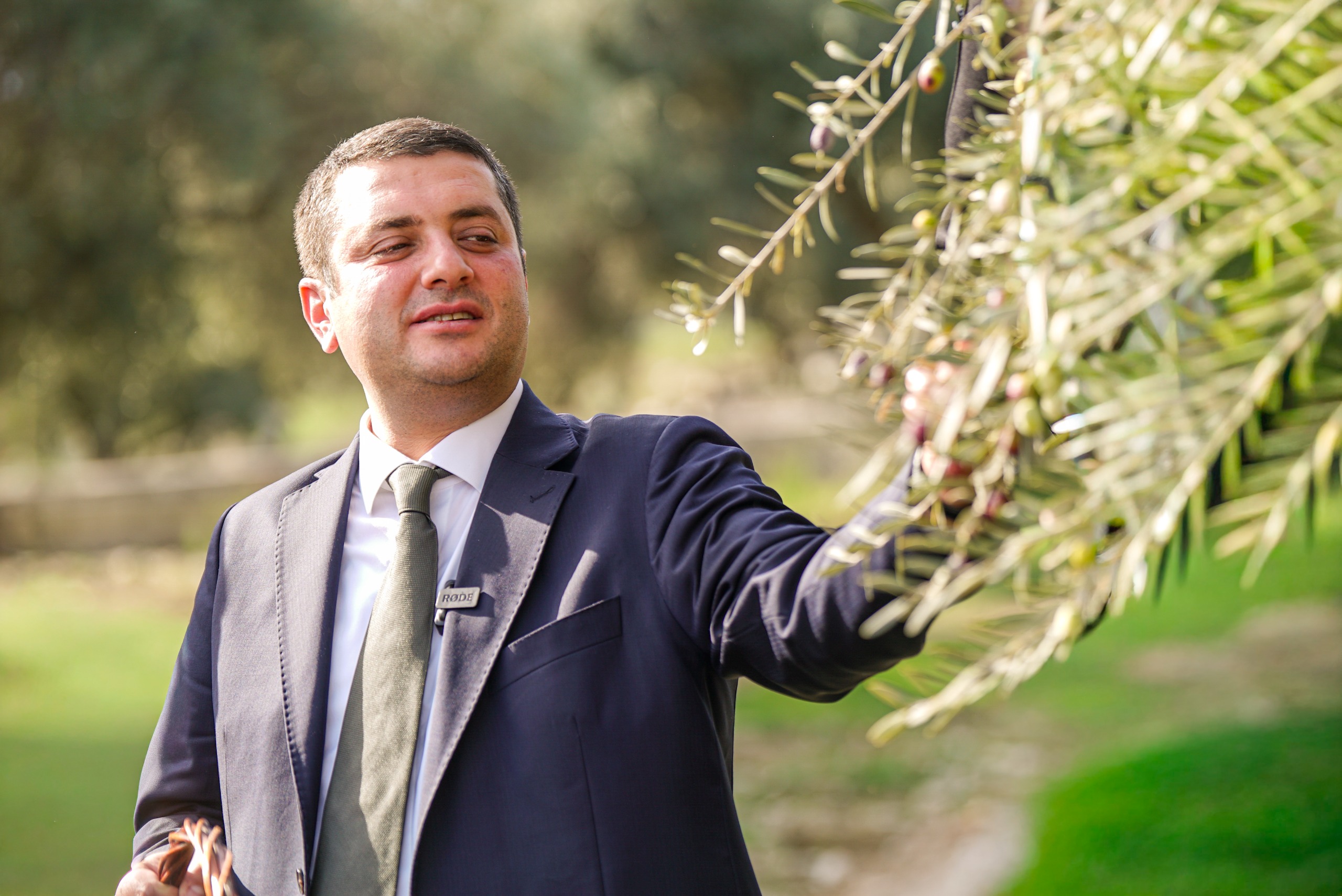 Torbalı’da Zeytin Hasadı Markaya Dönüştü (4)