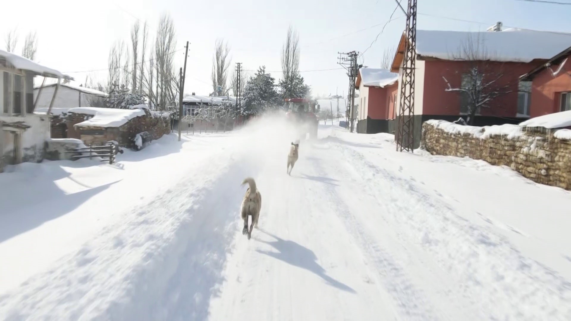 Traktör Lastiğiyle Köy Sokaklarında Kaydılar (5)