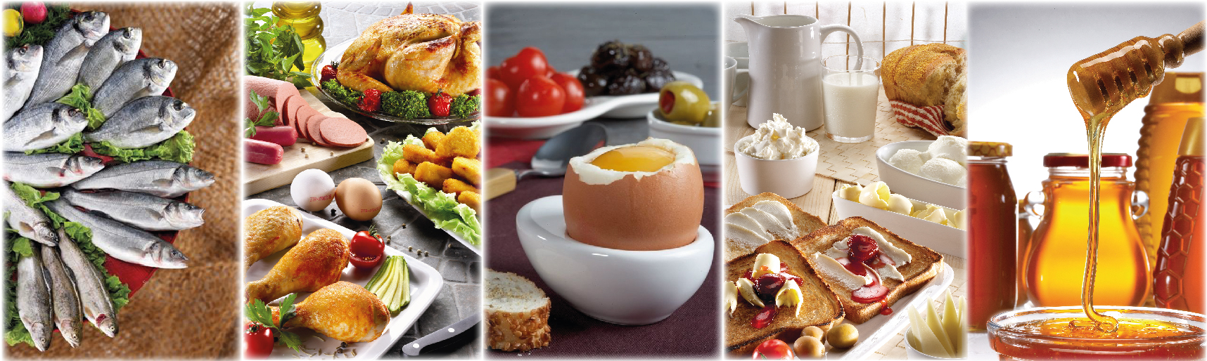 Türkiye Su Ürünleri Ve Hayvansal Mamuller Sektörü, 2025 Yılında Ihracatta 4 Milyar Dolar Eşiğini Aşarak Dikkat Çekici Bir Performansa Imza Attı (1)-1