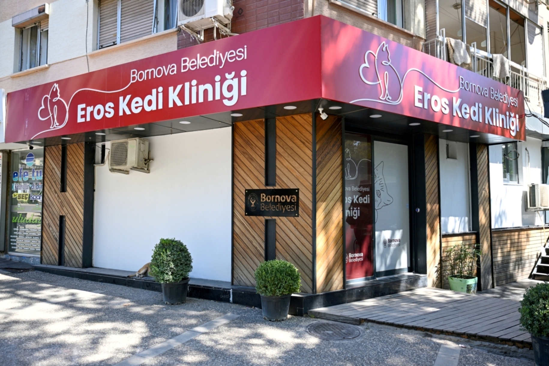 sokak hayvanları için güvenli liman oldu-2