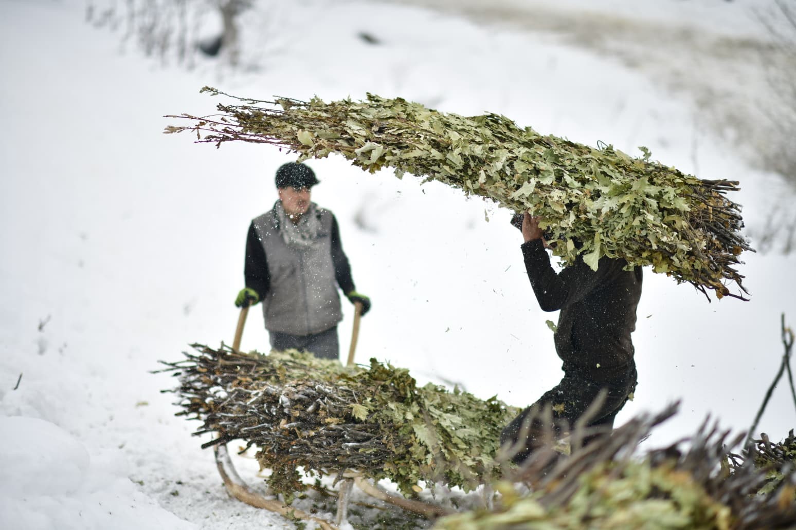 Yoğun Kar Altında Hayat Mücadelesi (10)