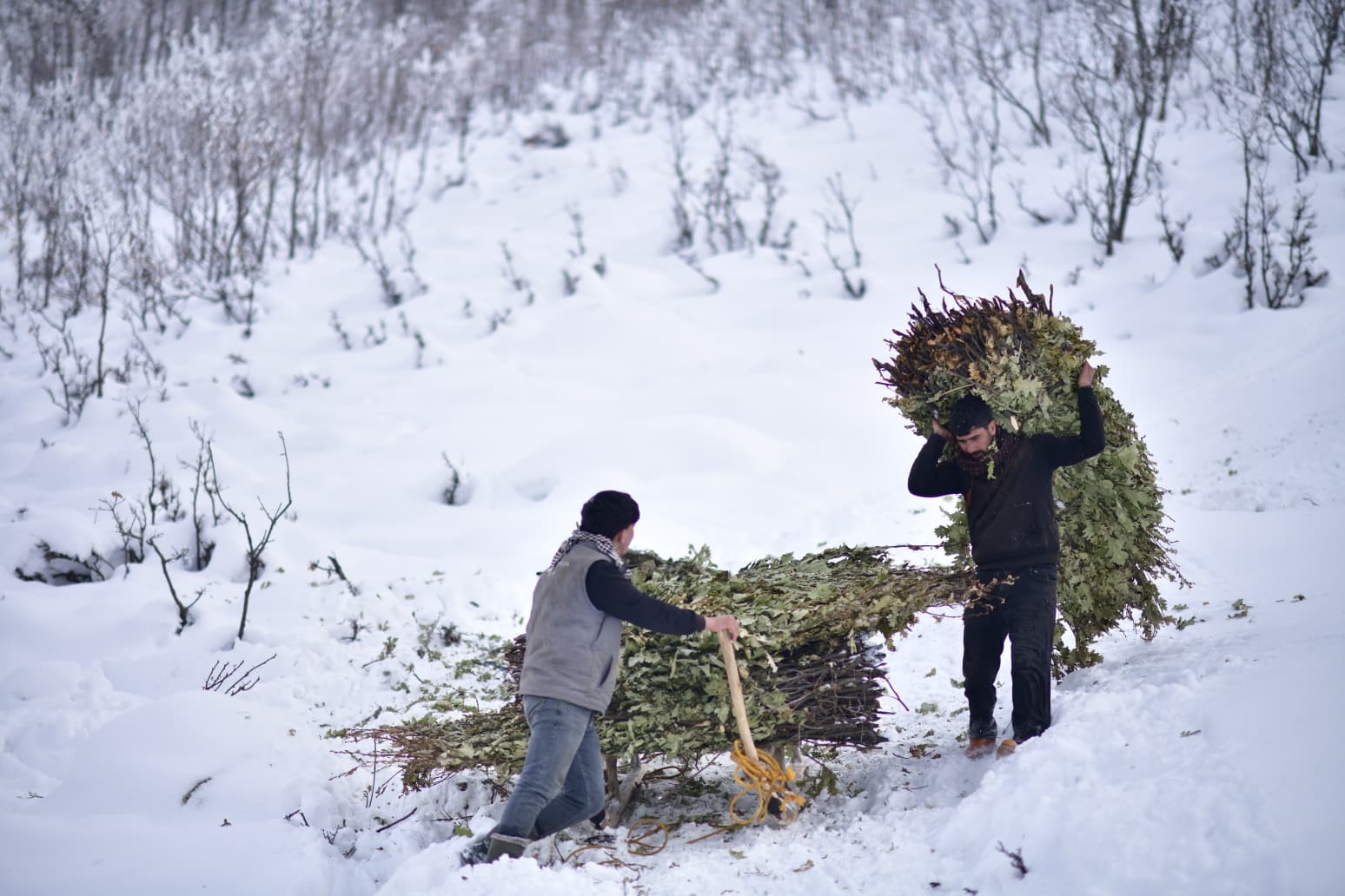 Yoğun Kar Altında Hayat Mücadelesi (7)