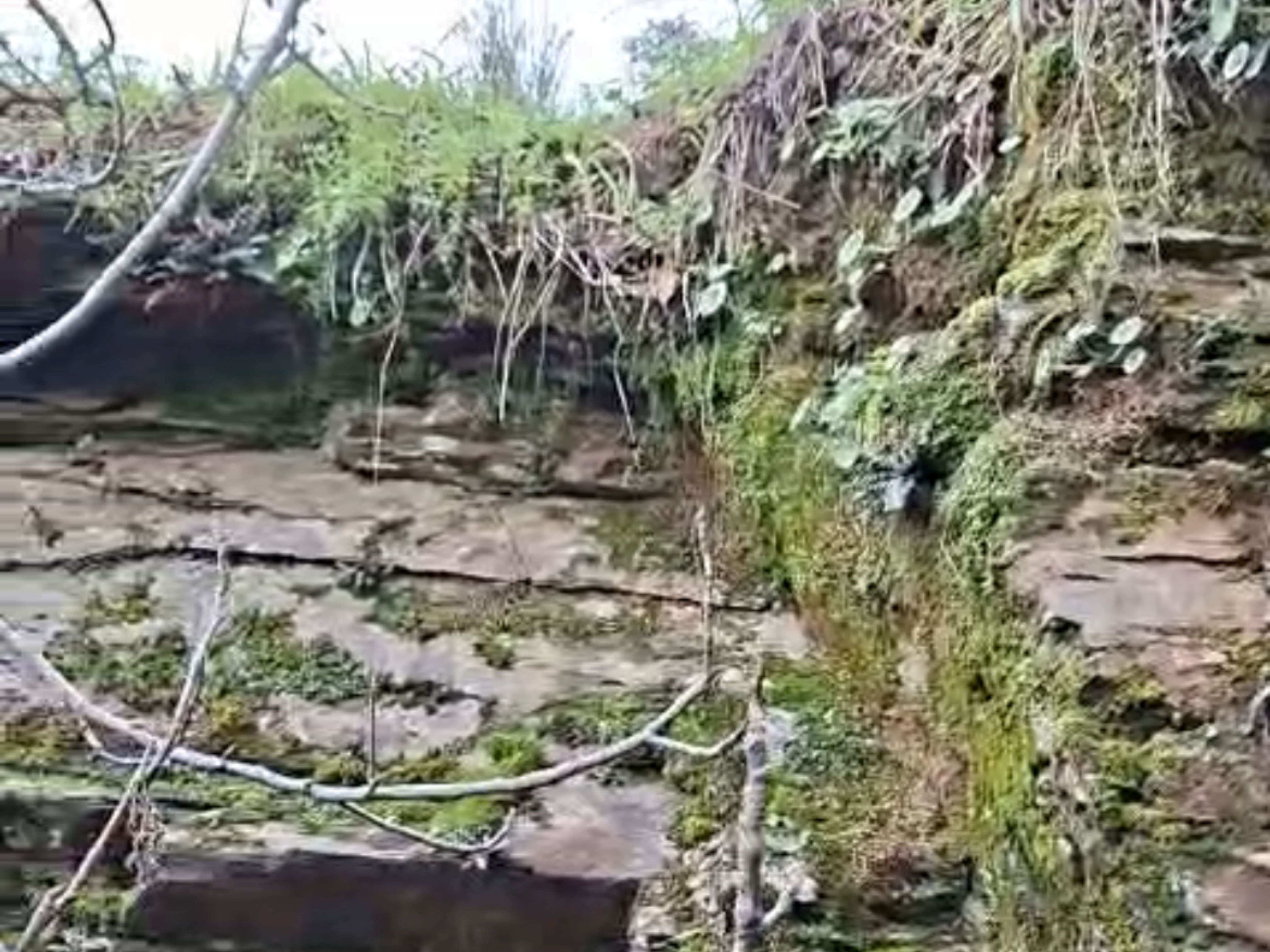 35 Yıl Sonra Yeniden Canlandı (1)-1