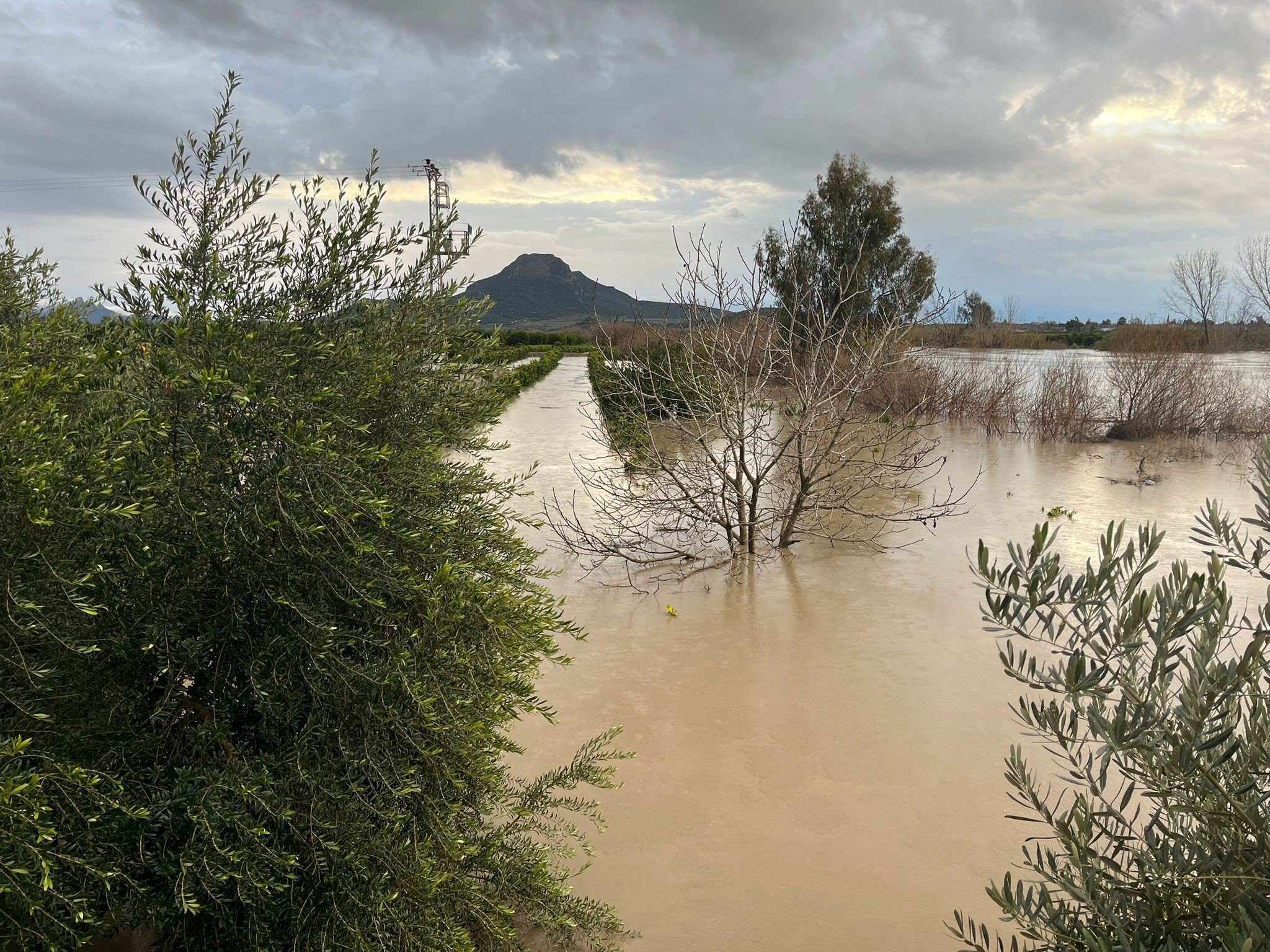 Adana’da Tarlalar Su Altında Çiftçi Kayıkla Tarlaya Gitti (2)