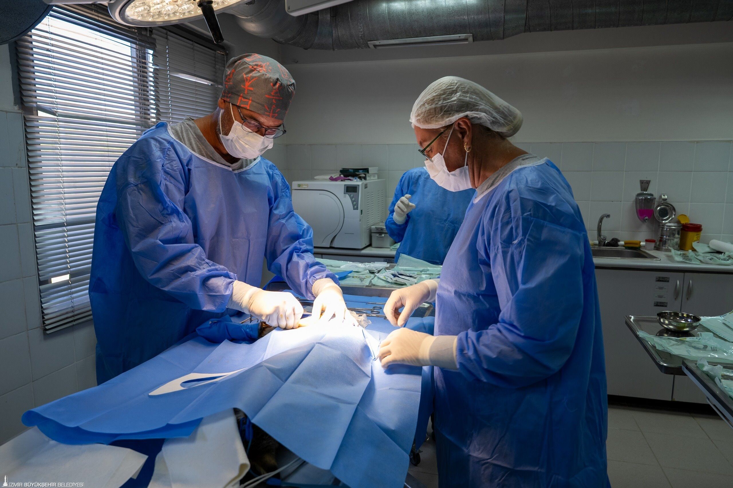 Ağır Yaralı Bulundu, Sağlıklı Şekilde Doğaya Salındı 22