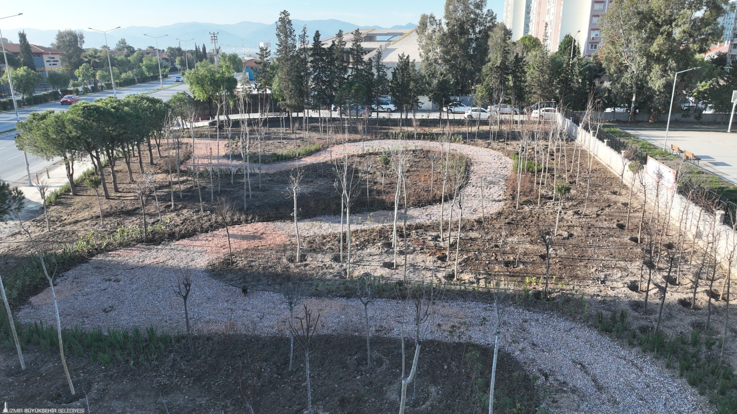 Atıl Alanlar Mini Ormana Dönüşüyor 22