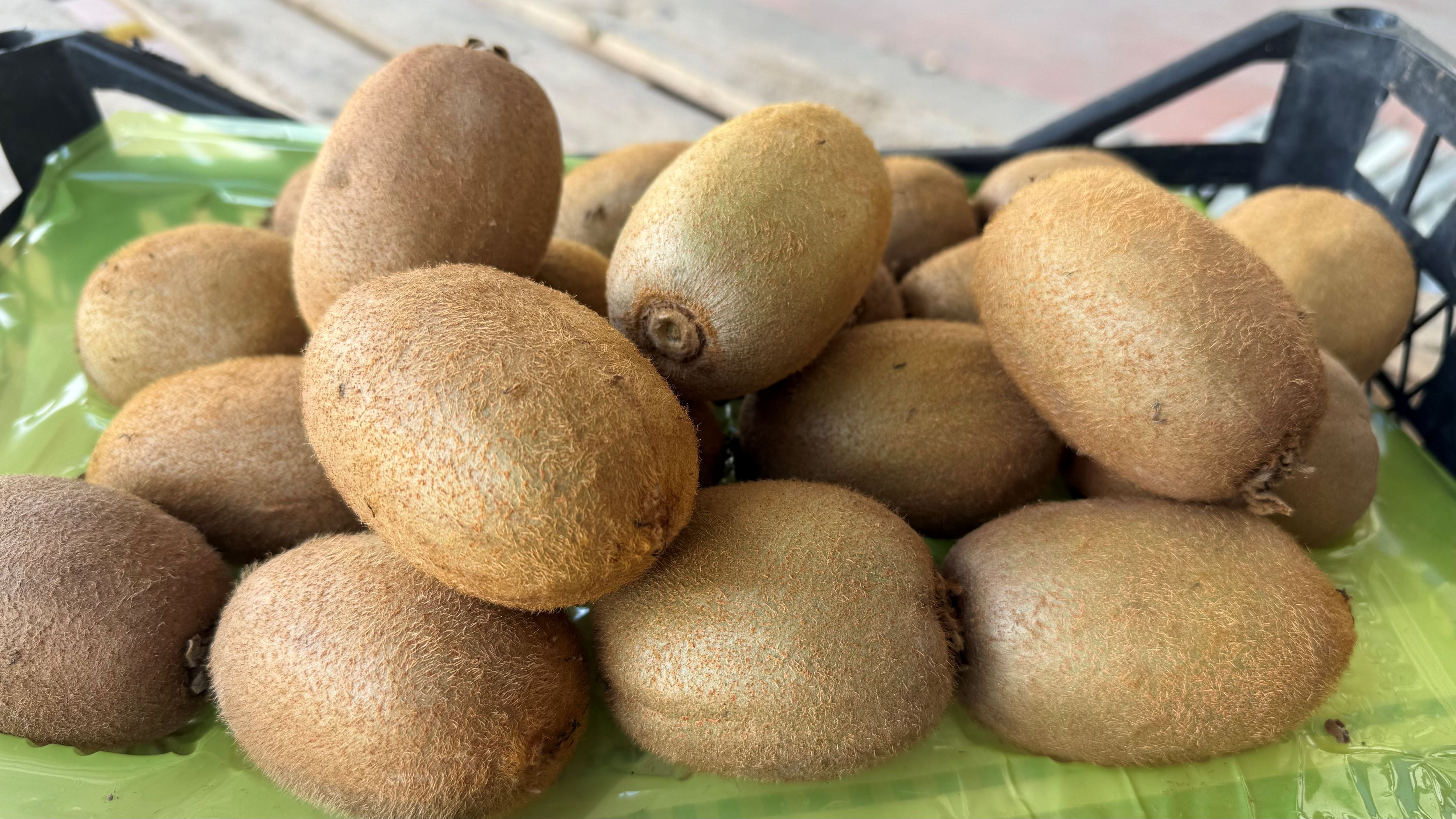 Bursa’da Dev Kivi Rekoru Gören Dönüp Bir Daha Bakıyor! (2)