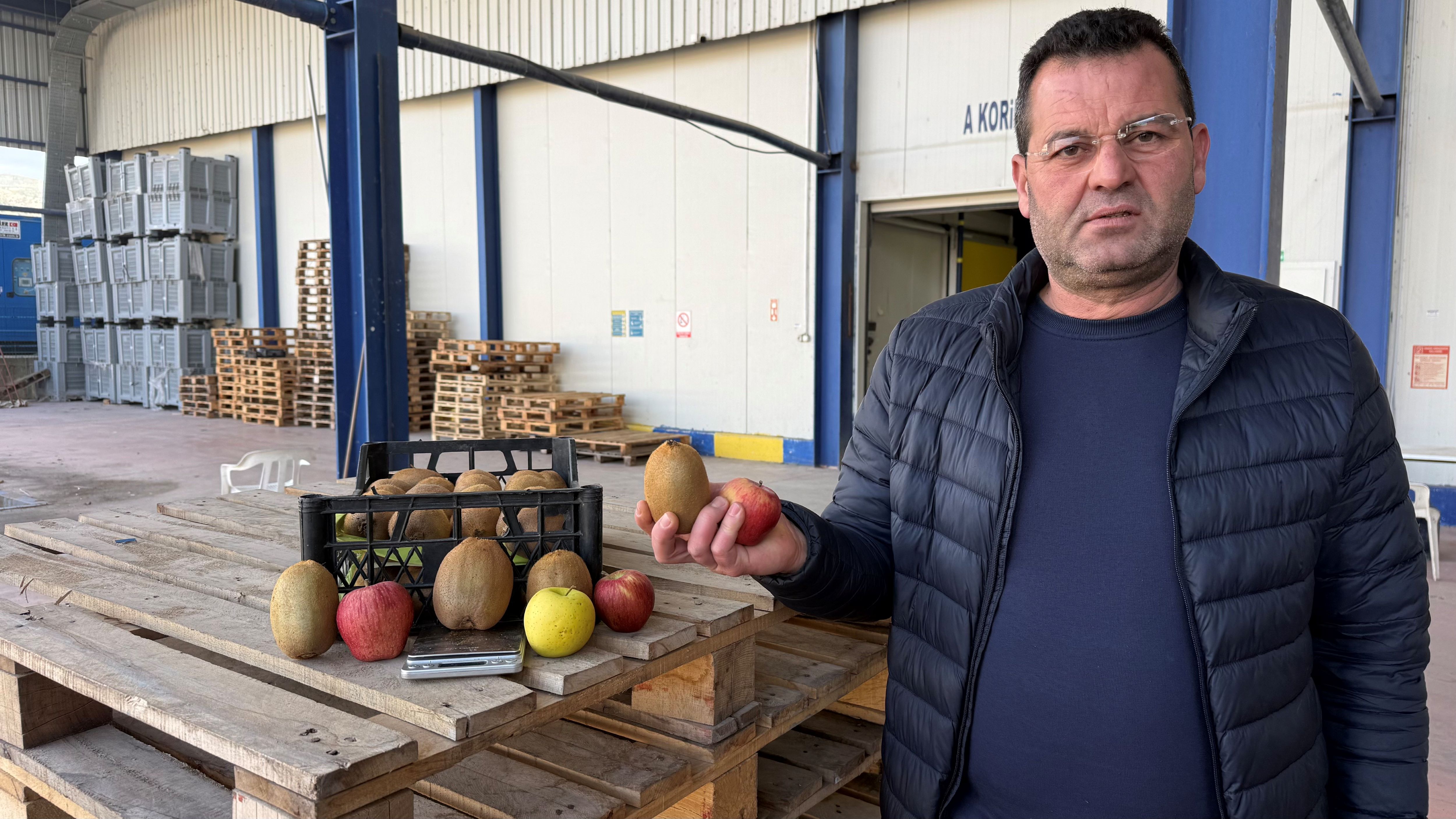 Bursa’da Dev Kivi Rekoru Gören Dönüp Bir Daha Bakıyor! (4)