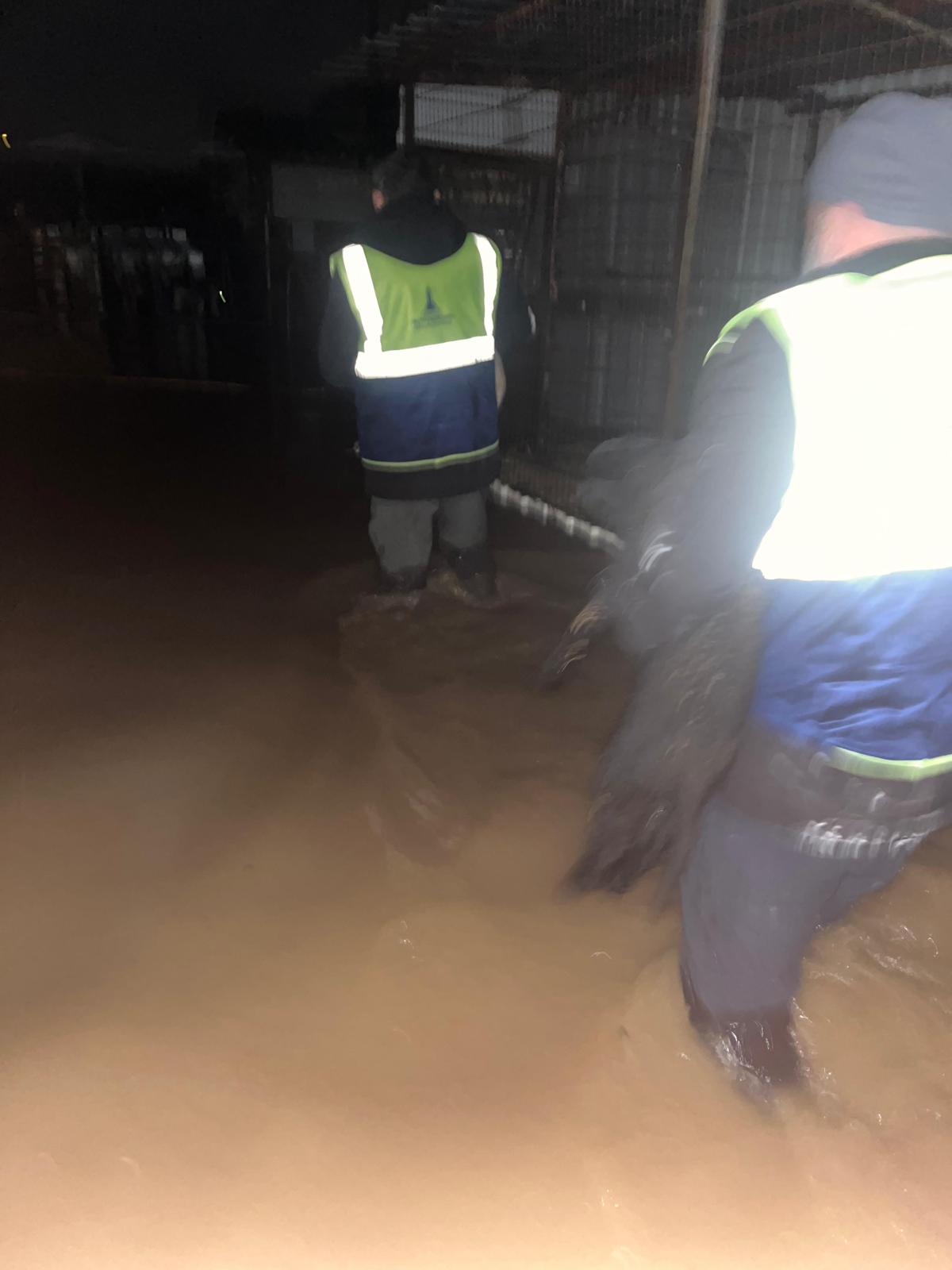 İzmir’de Sağanakta Yürek Isıtan Görüntü Hayvanları Böyle Kurtardılar (1)