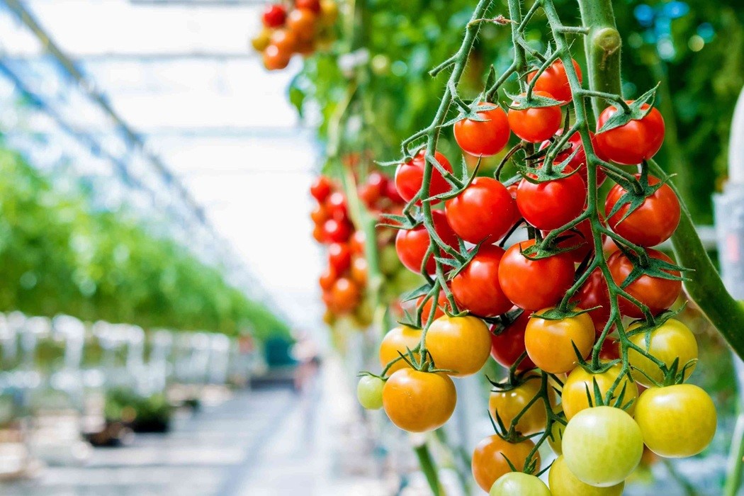 Jeotermal Sektörü ‘Jeka’ Modelini Gündeme Taşıdı (3)