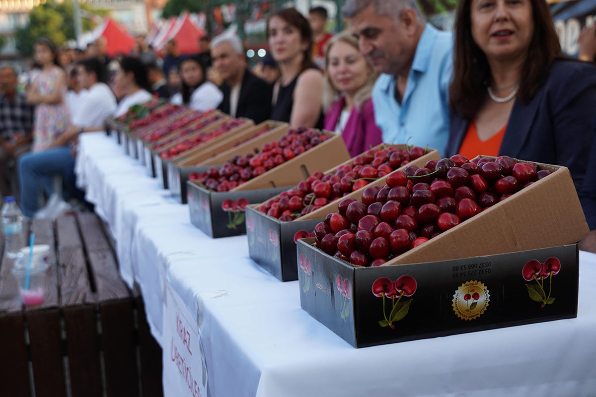 Kemalpa+Şa Alt¦ N Kiraz K+ Lt+ R Ve Sanat Festivali