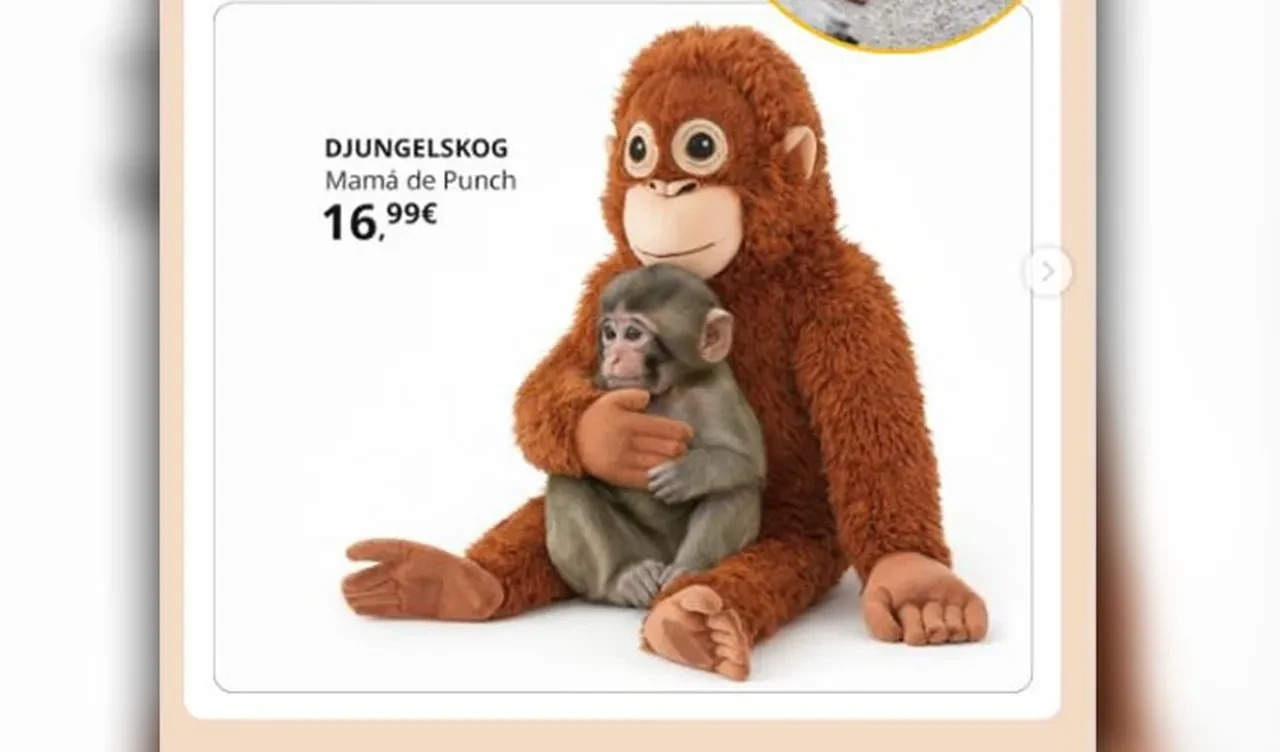 Punchin Oyuncak Maymunu Yok Sati (1)