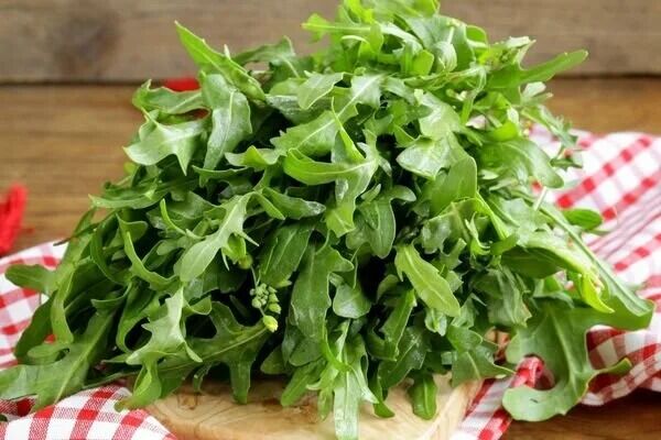 Şaka Değil Gerçek! Bir Kağıt Havluyla Sebzelerinizin Ömrünü 3 Katına Çıkarın (1)