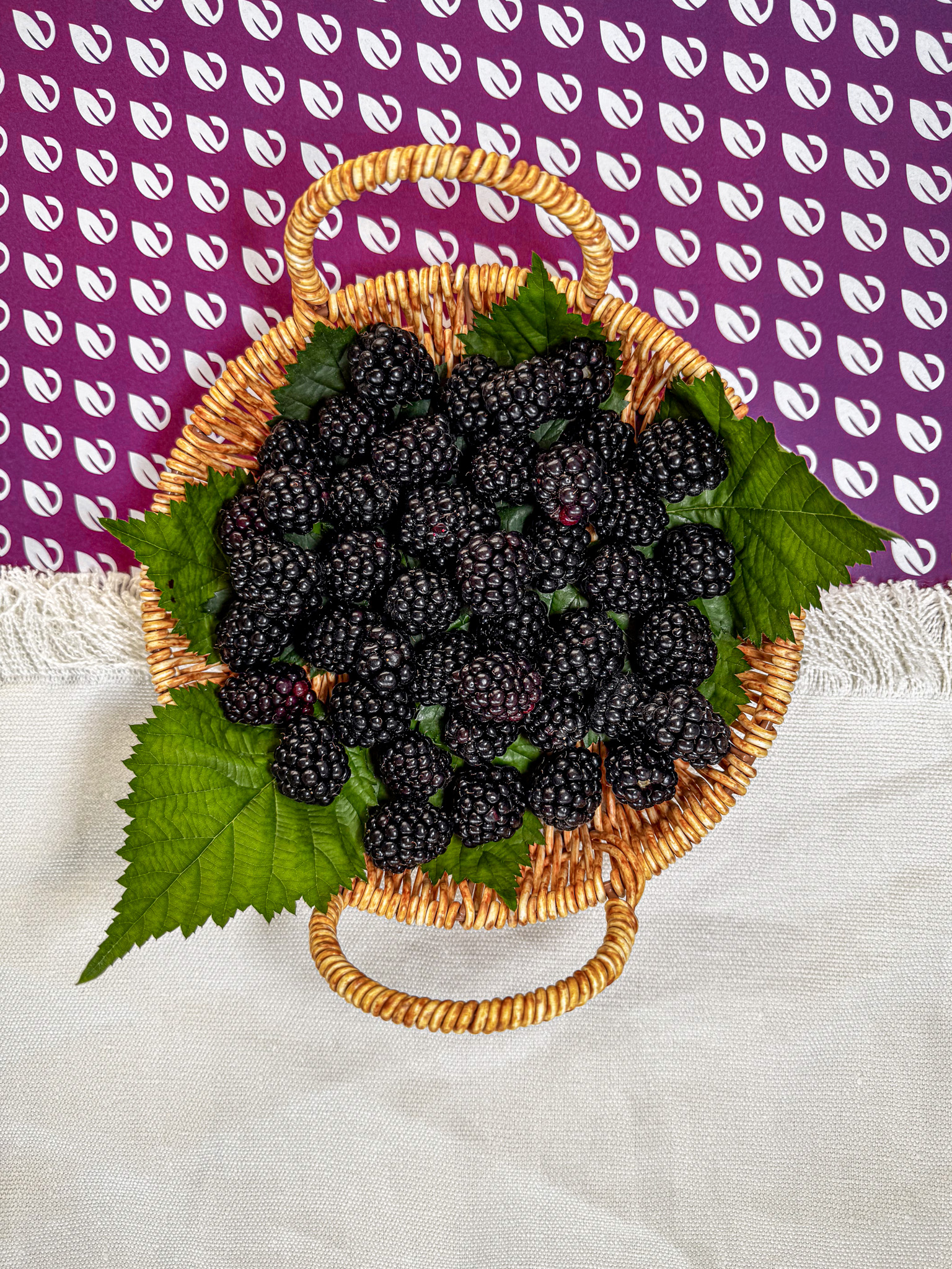 Şiddetli Yağıştan Sonra En Kritik Tarım Dersi Ortaya Çıktı (2)