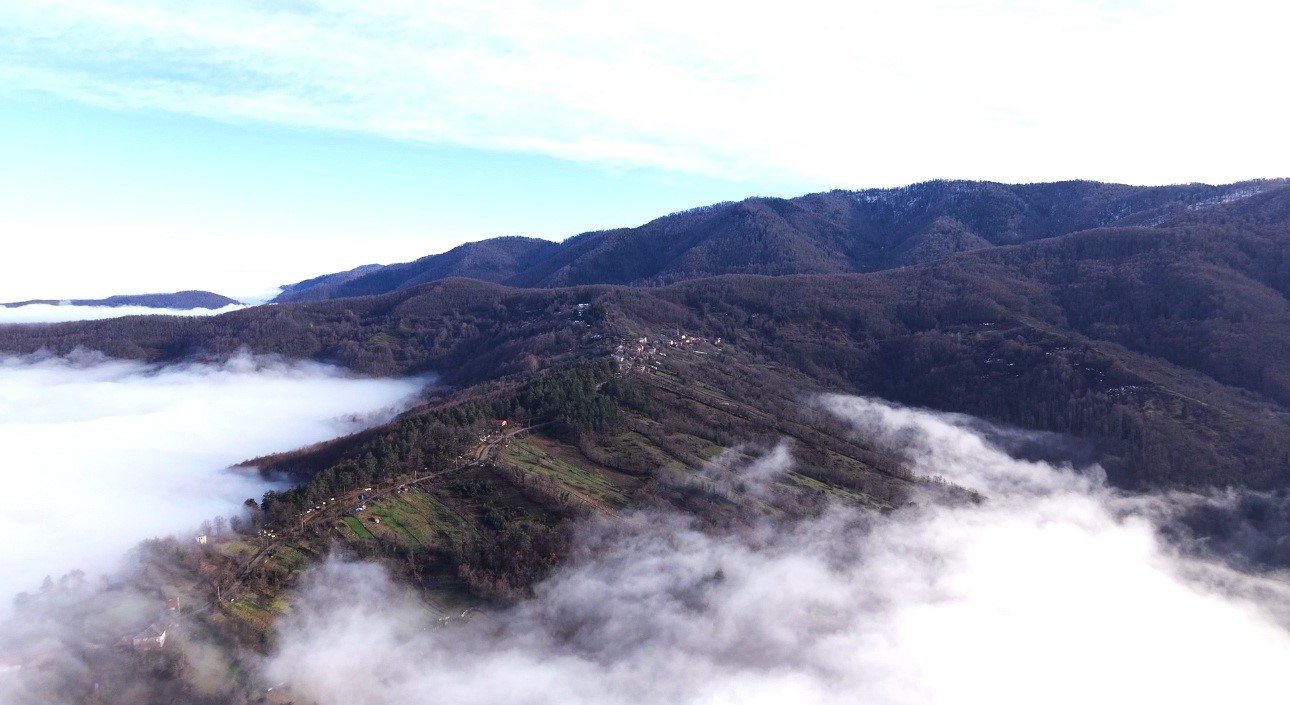 Sis Denizi Görenleri Büyüledi (4)