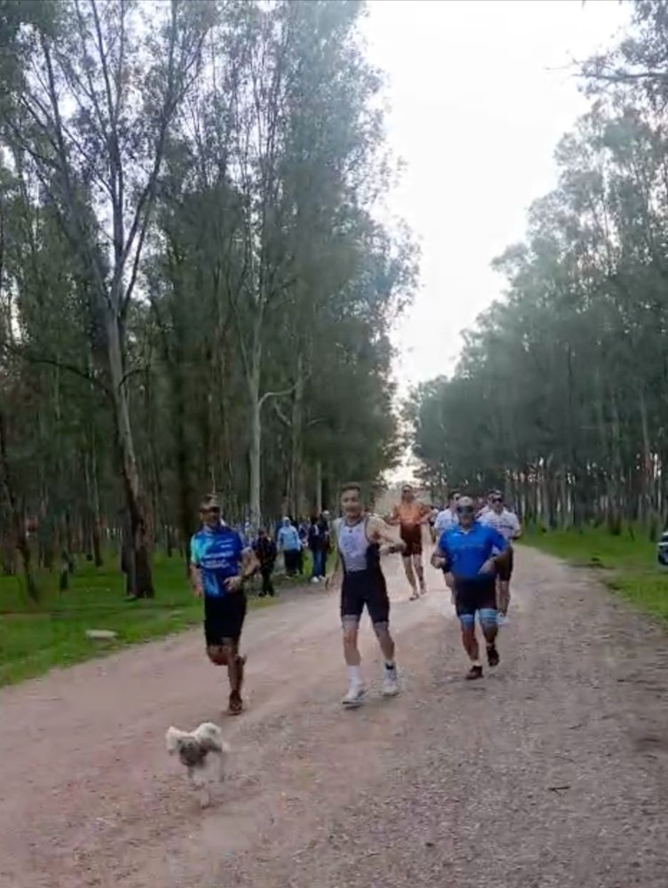 Triatlon Yarışında Parkura Giren Kuzu, Renkli Görüntülere Neden Oldu 11