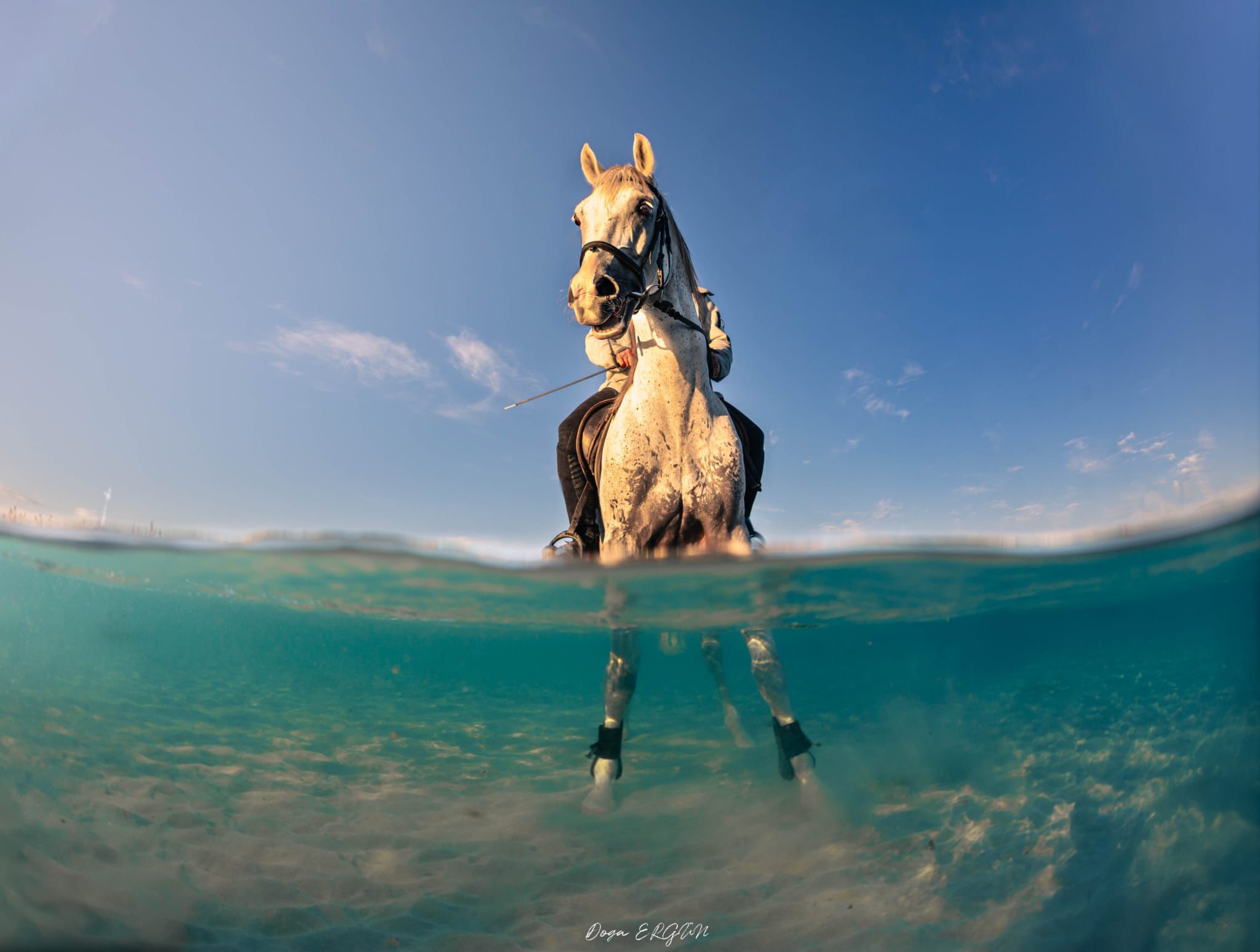 Türkiye’nin En Genç Sualtı Fotoğrafçısı Çeşmeli Doğa Ergün’den Gururlandıran Başarı (2)