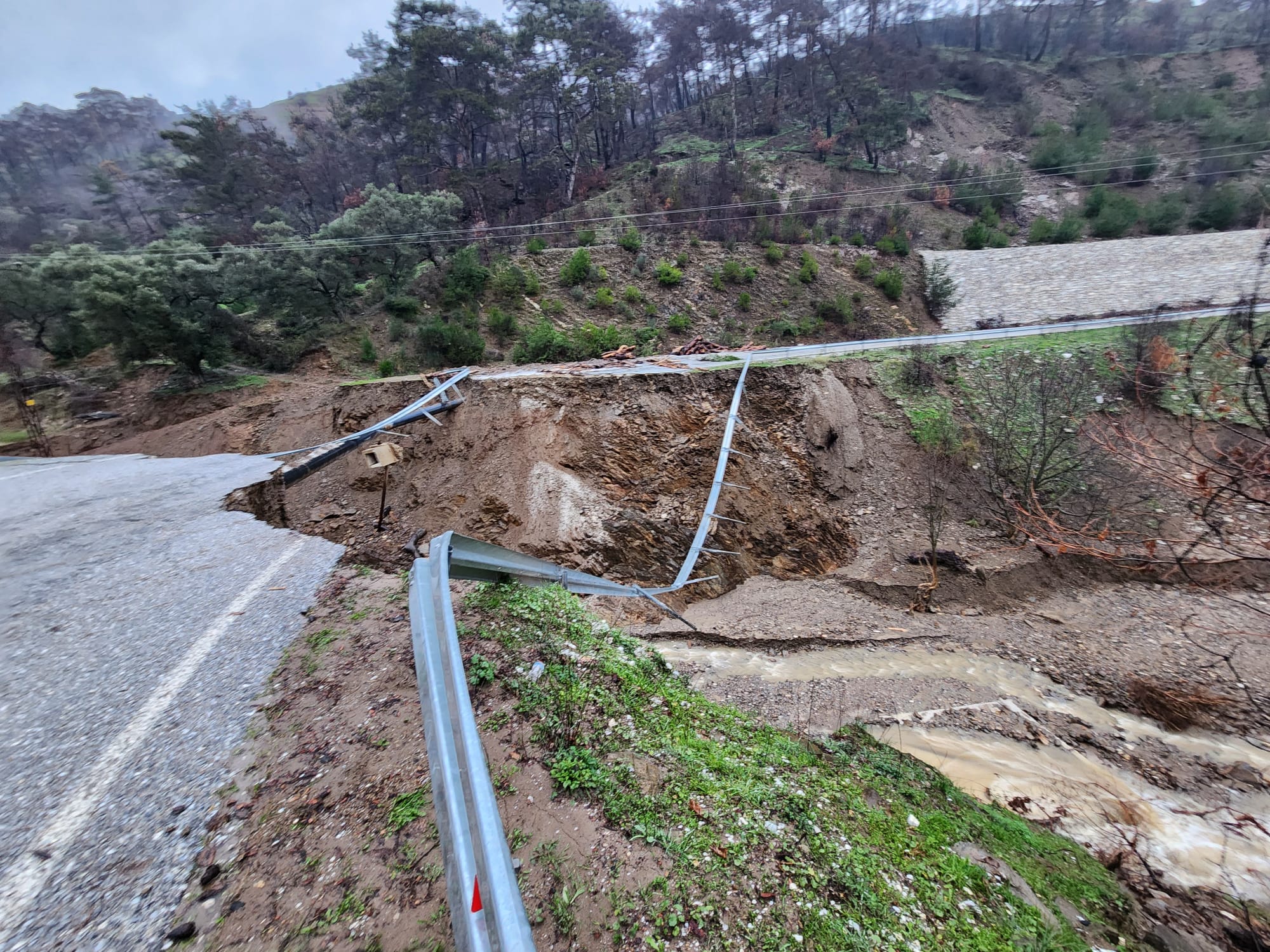 Whatsapp Image 2026 02 22 At 15.00.23