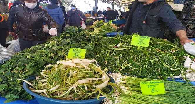 Ege ot kültürüne girin