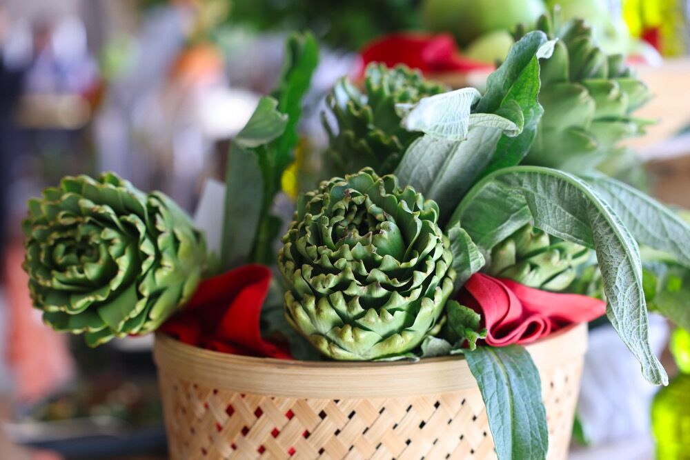 Alaçatı Ot Festivali Ilk Kez Uluslararası Statüyle Yapılacak (5)