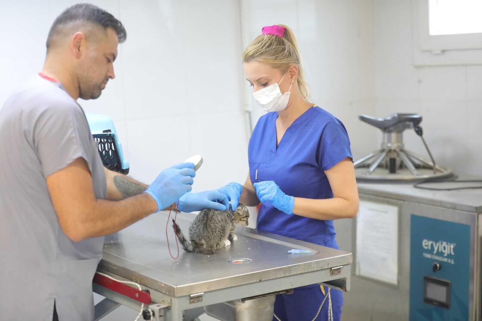 Bayraklı’da Hayvan Bakımevi Yenilenerek Kapasitesi Artırıldı (5)