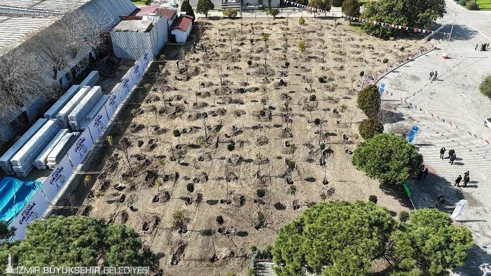 Beton Söküldü, Umut Filizlendi 44