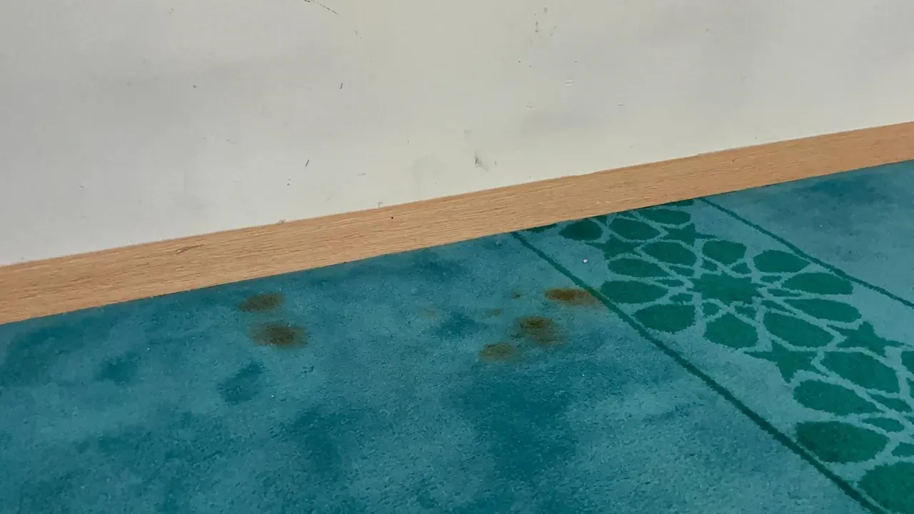 Bitlis'te Camide Çirkin Saldırı! (2)