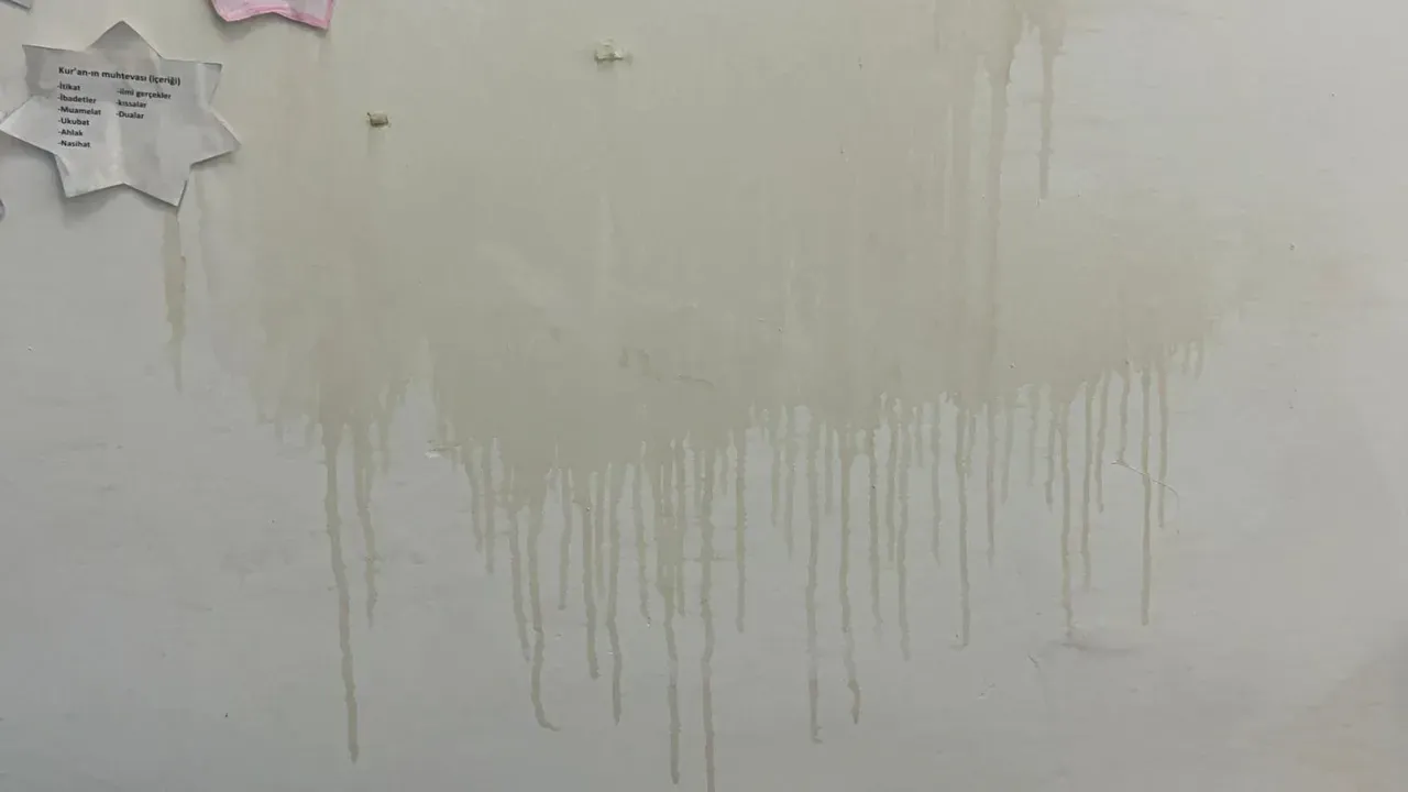 Bitlis'te Camide Çirkin Saldırı! (3)