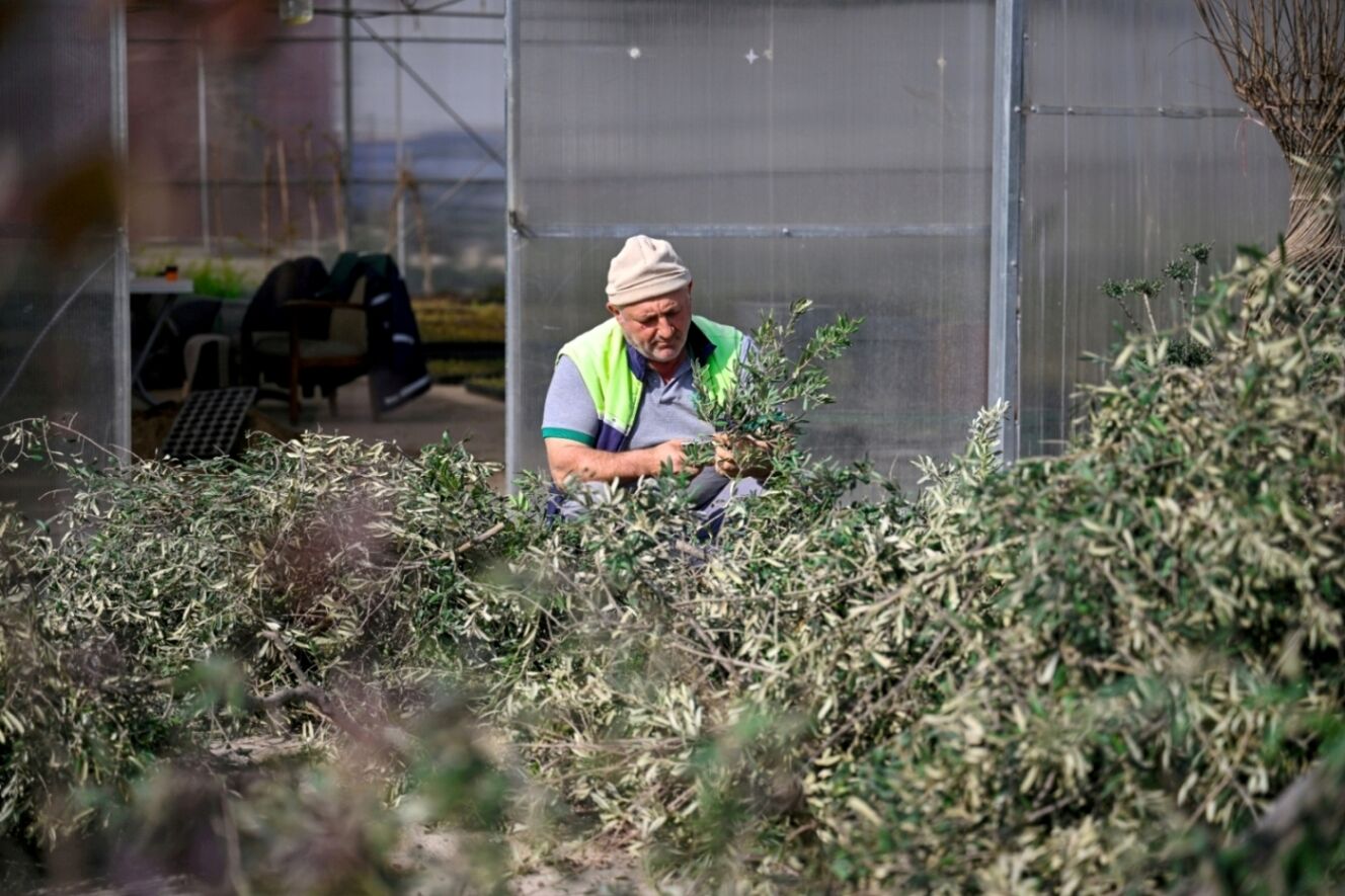 Bornova Belediyesi, Baharın Gelişiyle Birlikte Ilçe Genelinde Kapsamlı Bir Bakım Ve Yenileme Seferberliği Başlattı. (7)