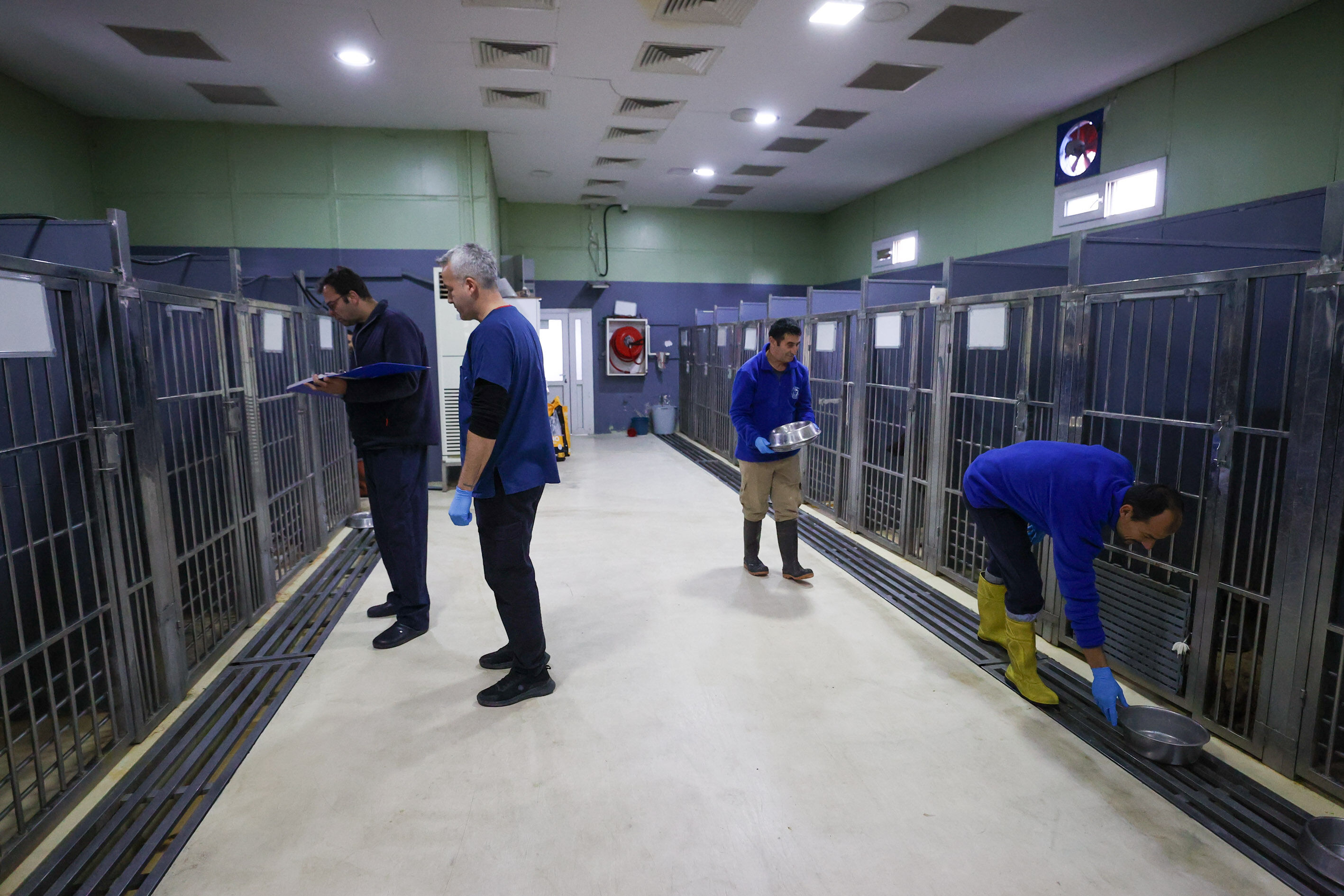 Buca Veteriner Temizlik2