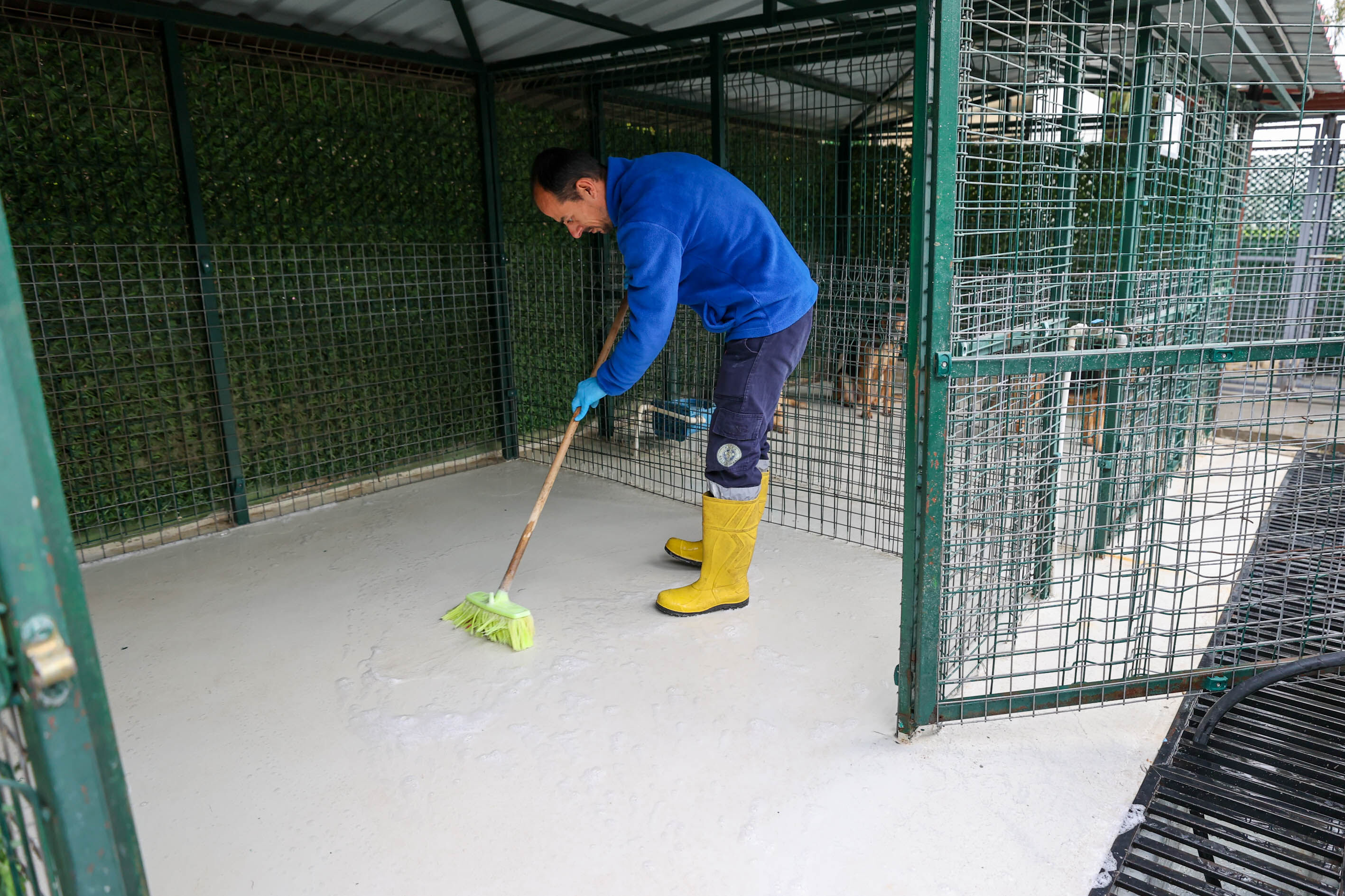 Buca Veteriner Temizlik8