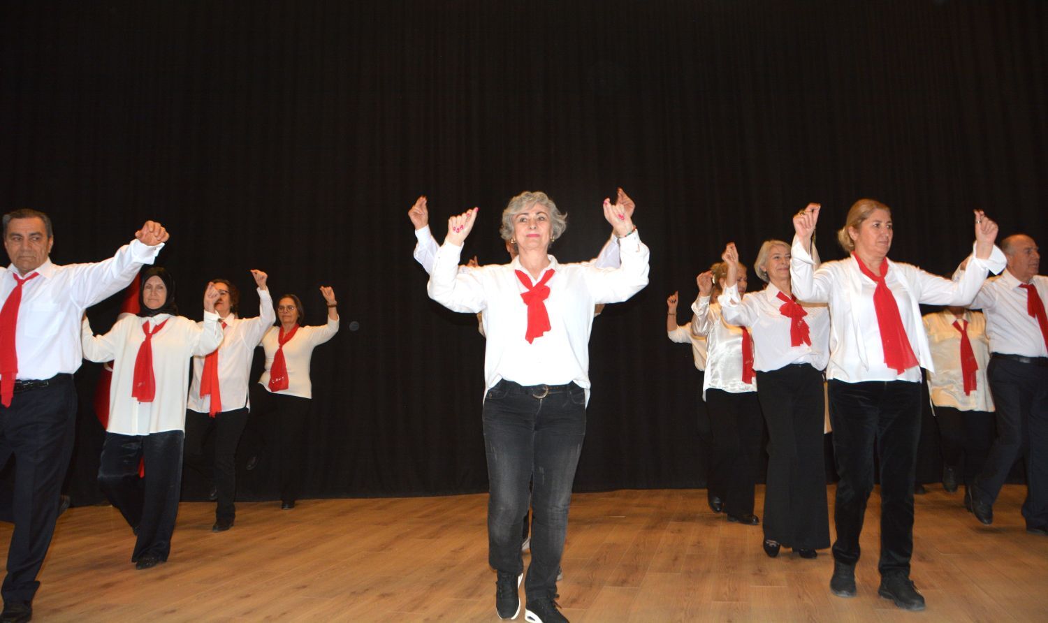 Ege Geriatri Derneğinden “Yaşlıya Saygı Haftası” Paneli (3)