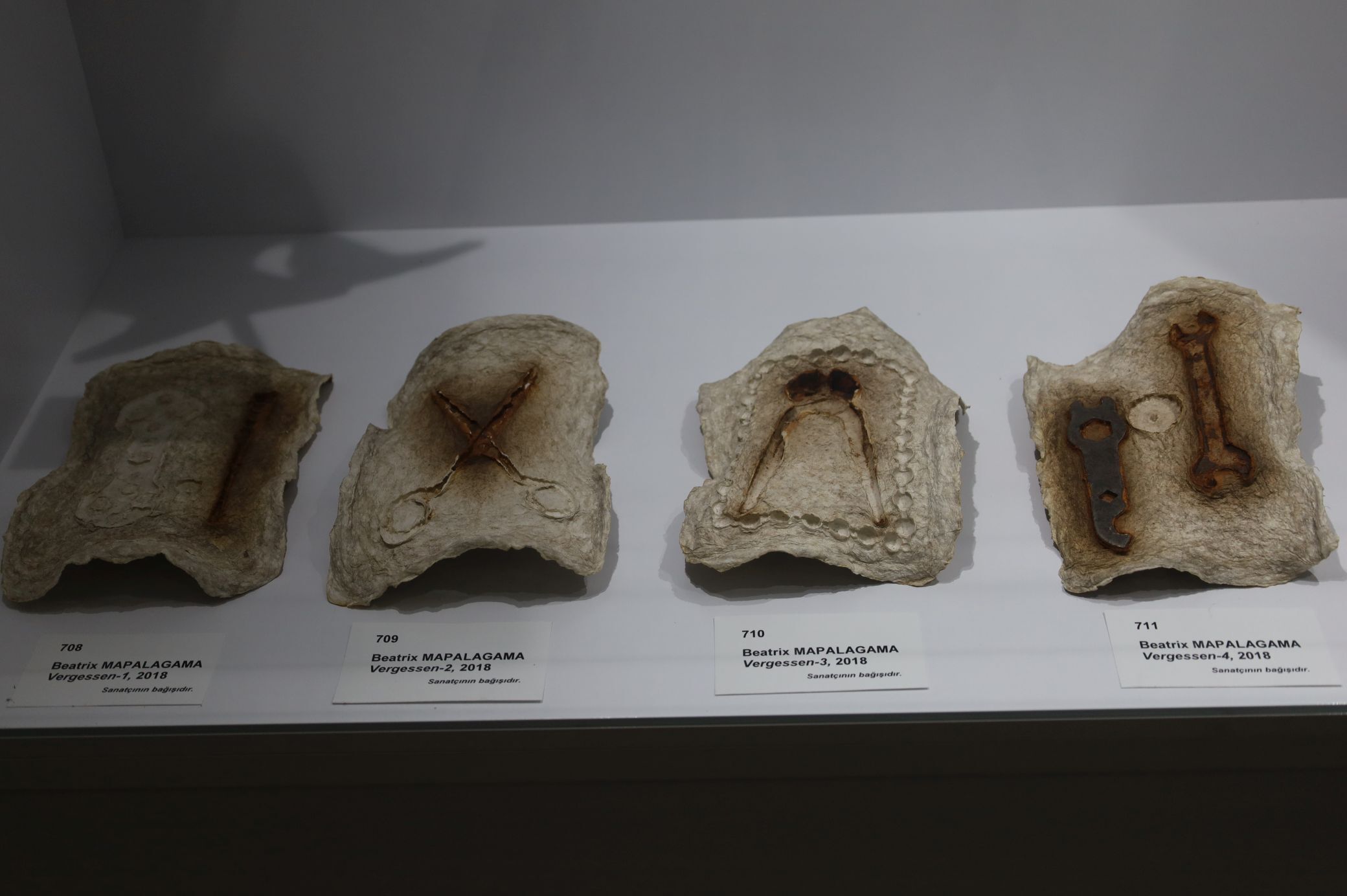 Ege Üniversitesi’nde Bu Sergi Kaçmaz (1)