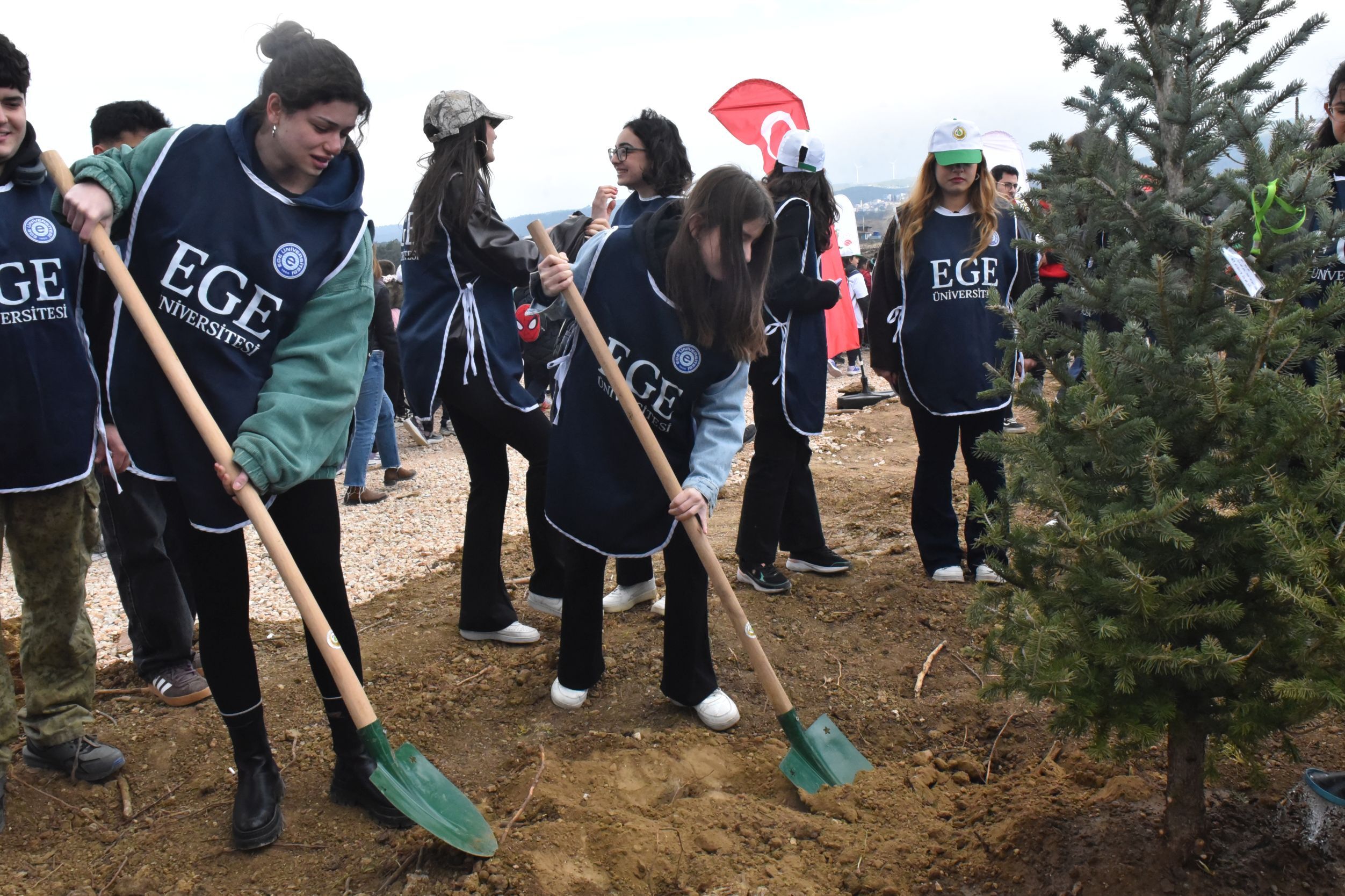 Egeli Öğrenciler Yangın Alanlarını Fidanlarla Yeşertti (3)