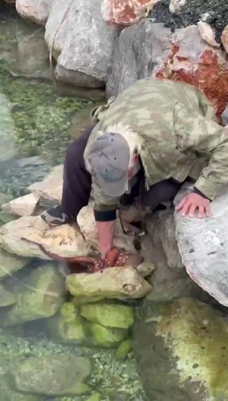 İzmir Karaburun’da Elleriyle Ahtapotu Yakaladı (2)